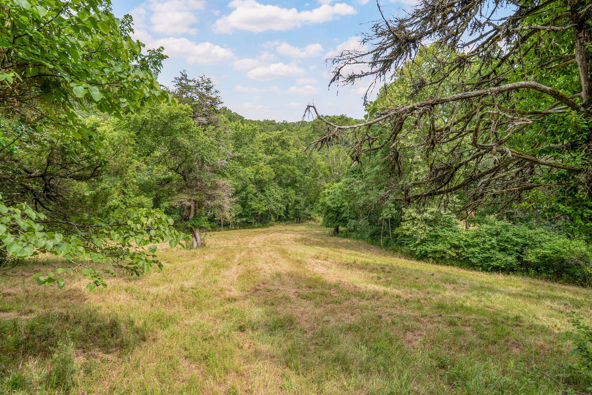 Photo 13 - Land for sale – 000  State Highway 265   Branson, MO