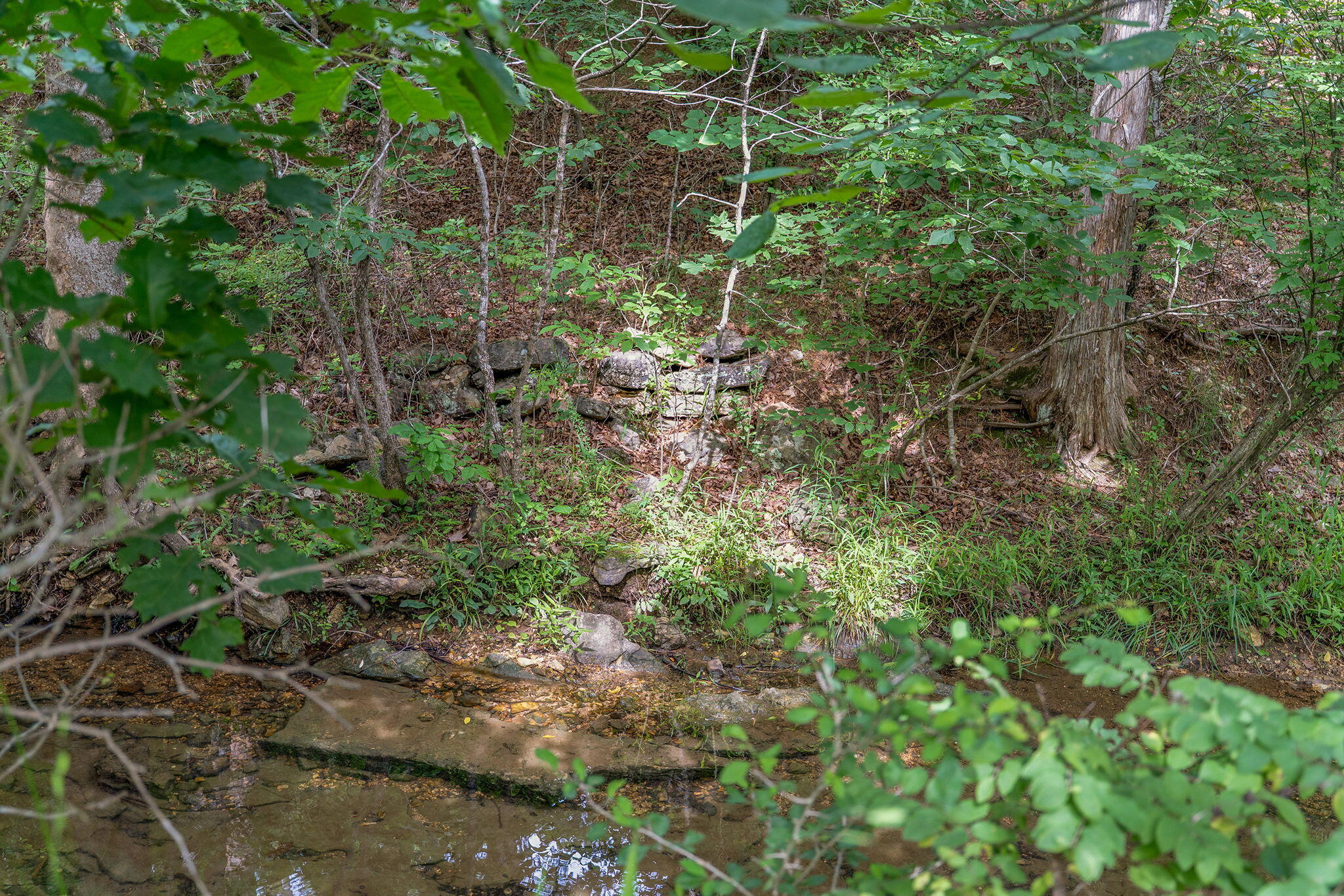 Photo 14 - Land for sale – 000  State Highway 265   Branson, MO