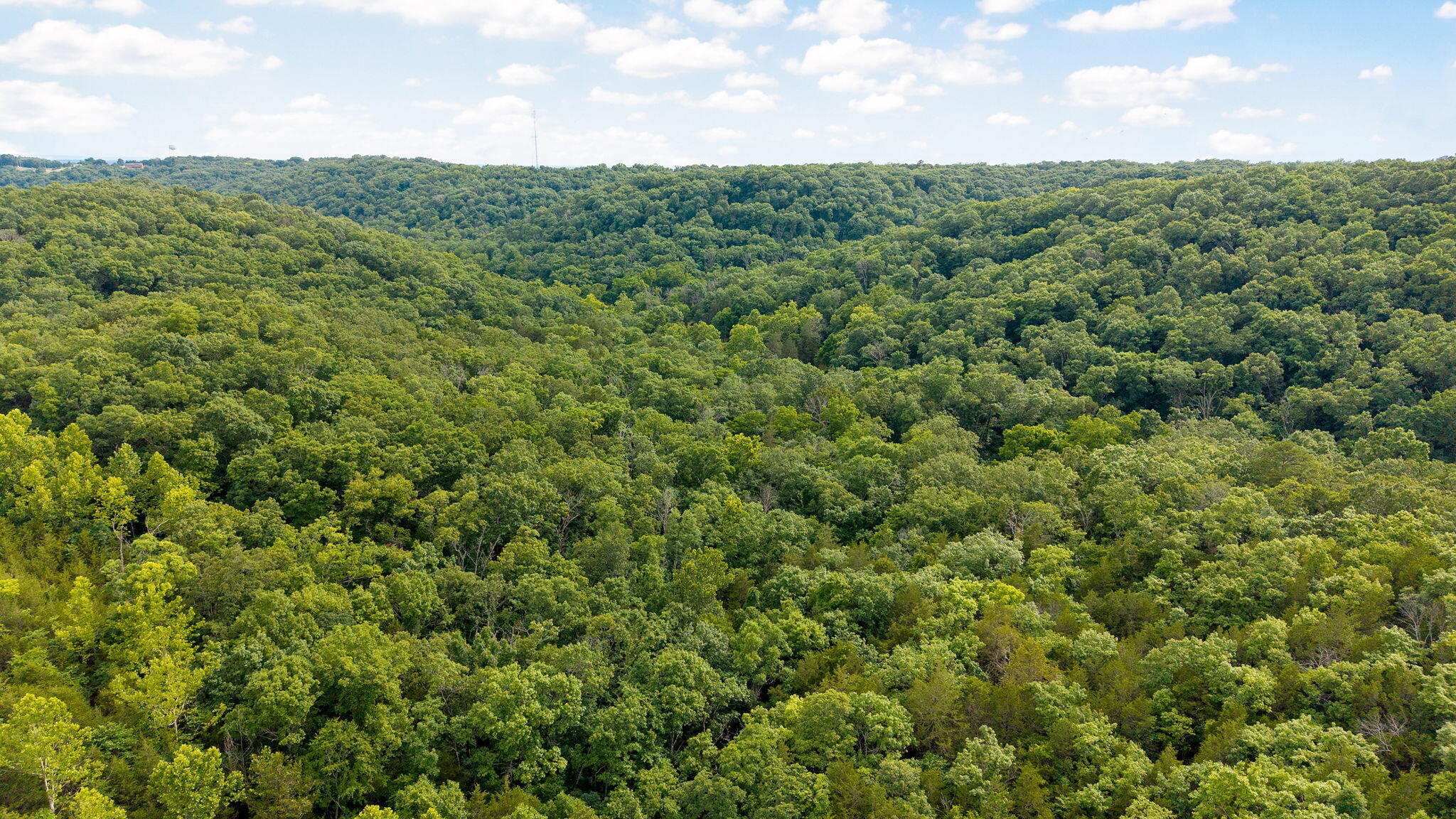 Photo 28 - Land for sale – 000  State Highway 265   Branson, MO