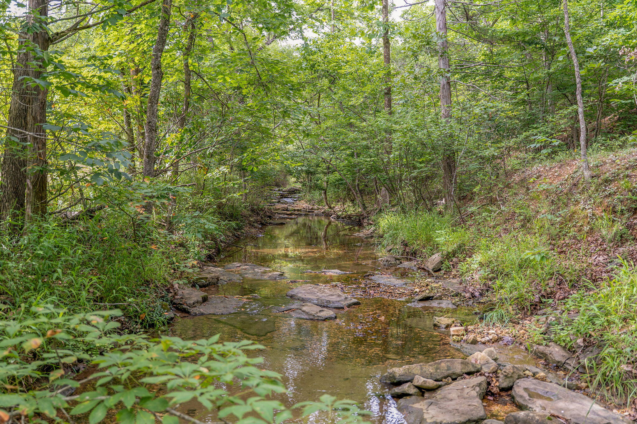 Photo 15 - Land for sale – 000  State Highway 265   Branson, MO