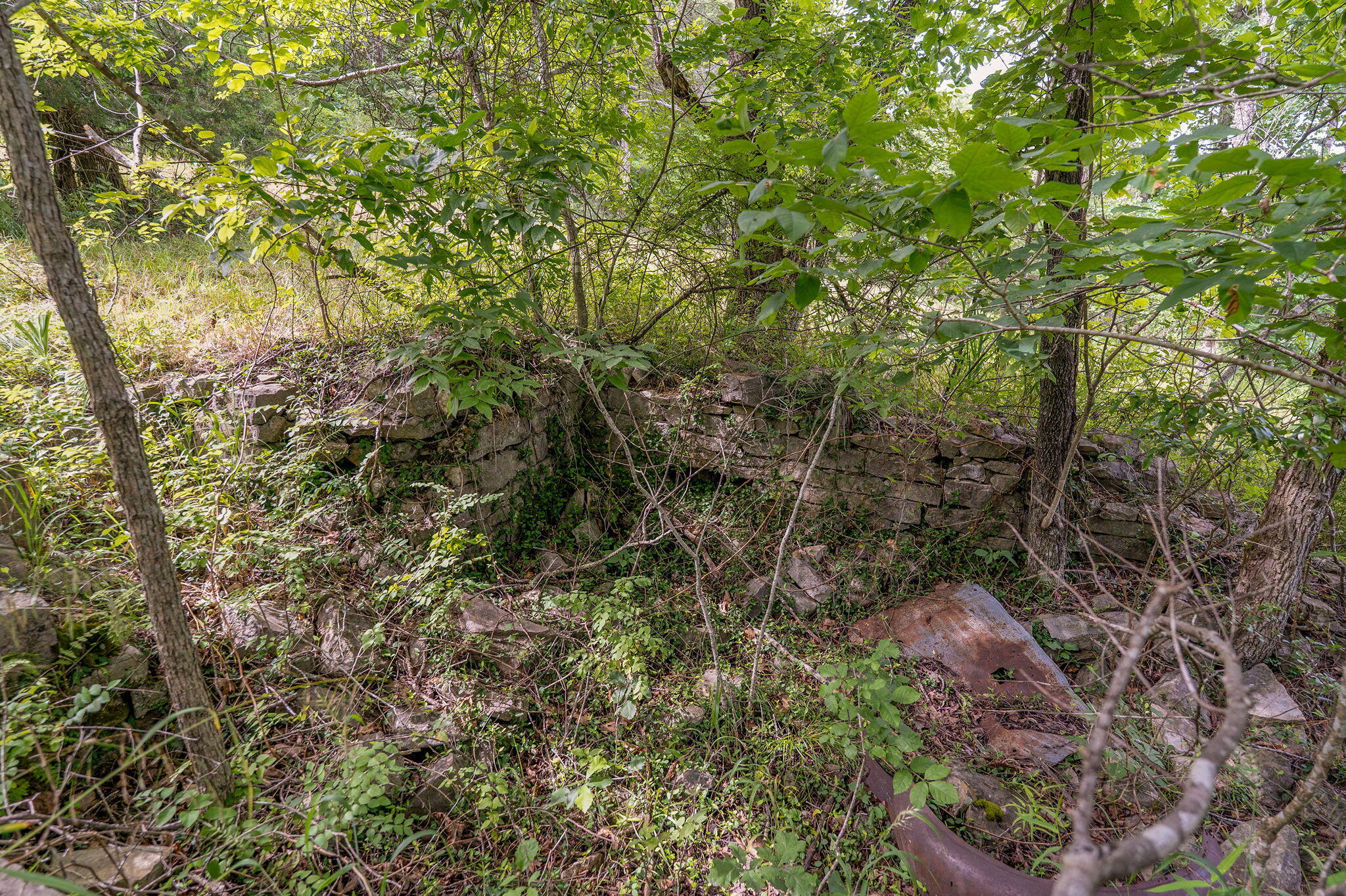 Photo 12 - Land for sale – 000  State Highway 265   Branson, MO