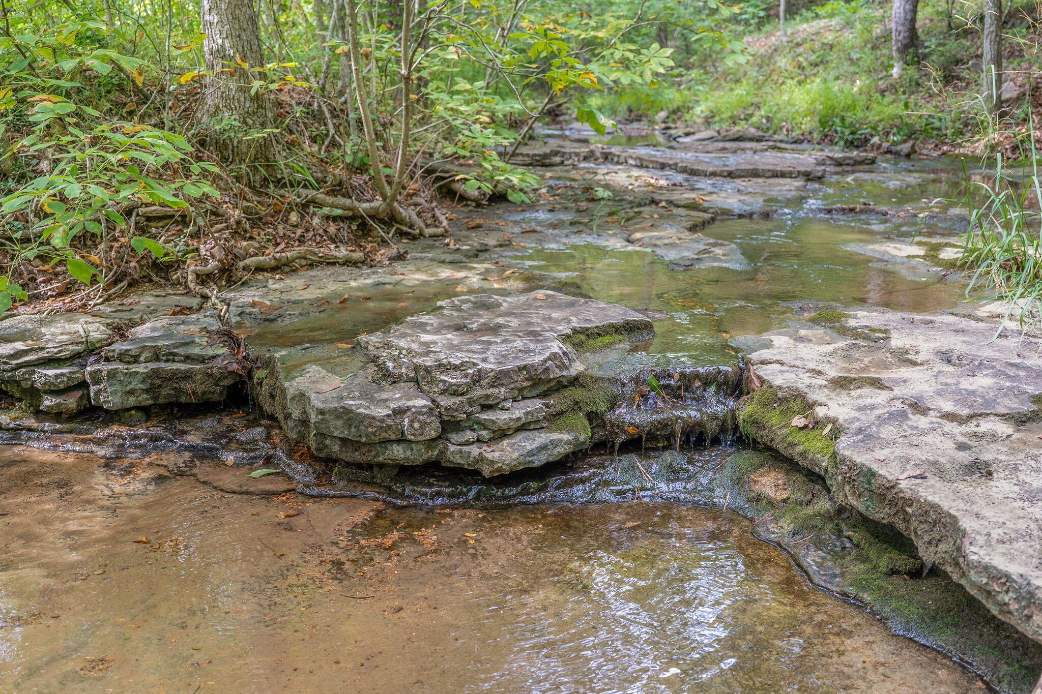Photo 19 - Land for sale – 000  State Highway 265   Branson, MO