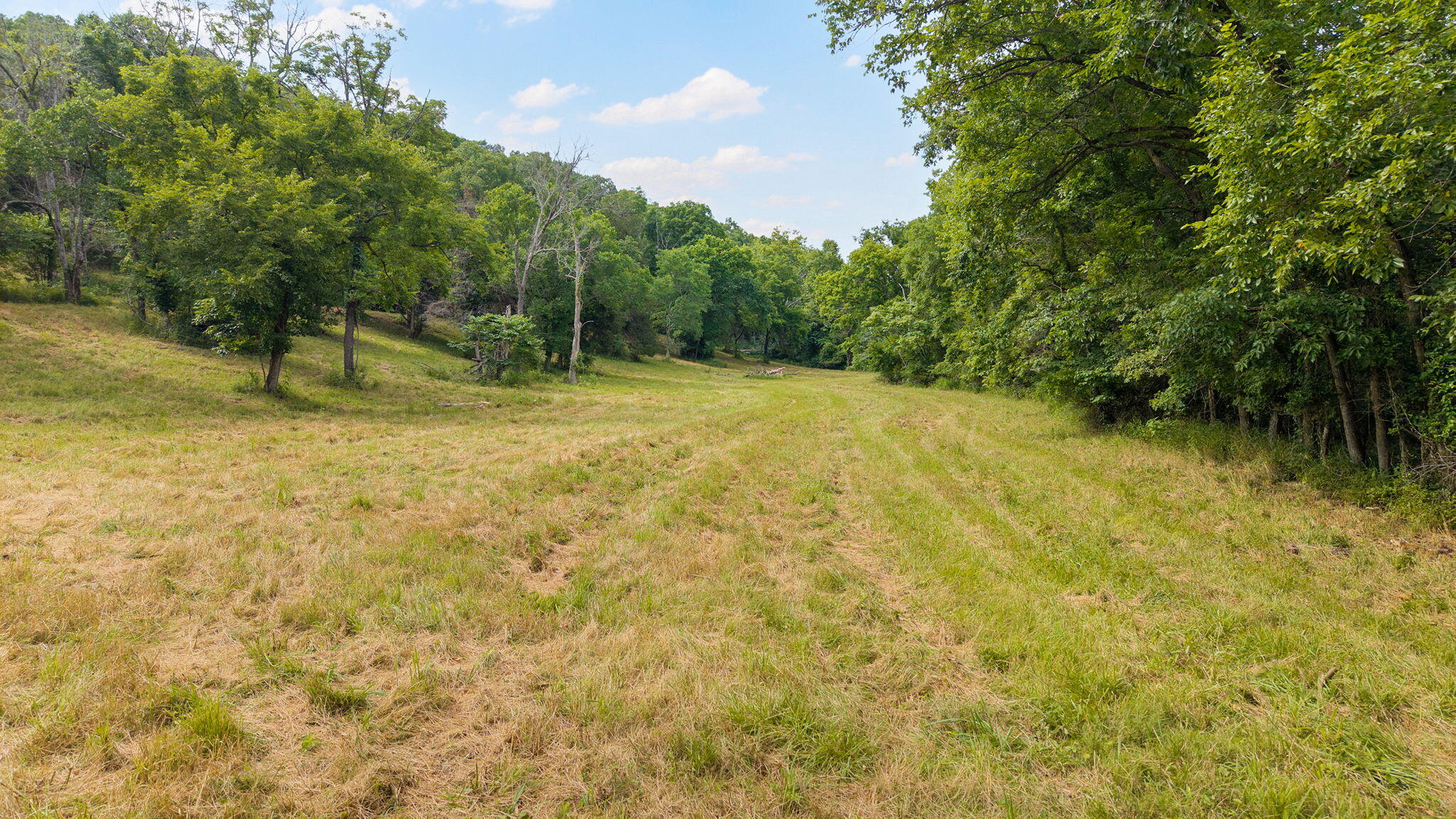 Photo 5 - Land for sale – 000  State Highway 265   Branson, MO