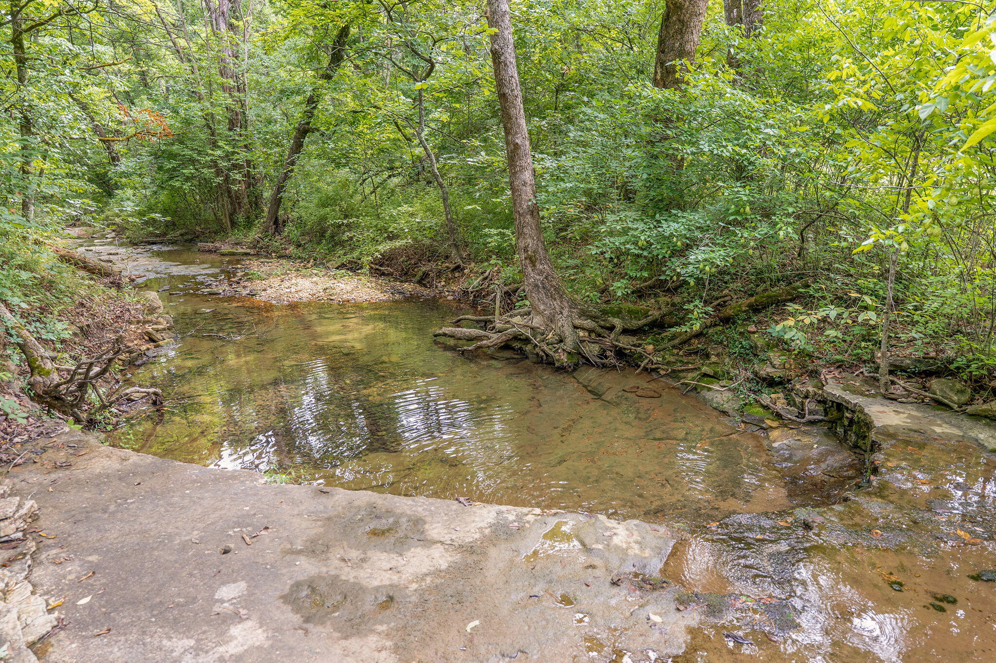 Photo 16 - Land for sale – 000  State Highway 265   Branson, MO