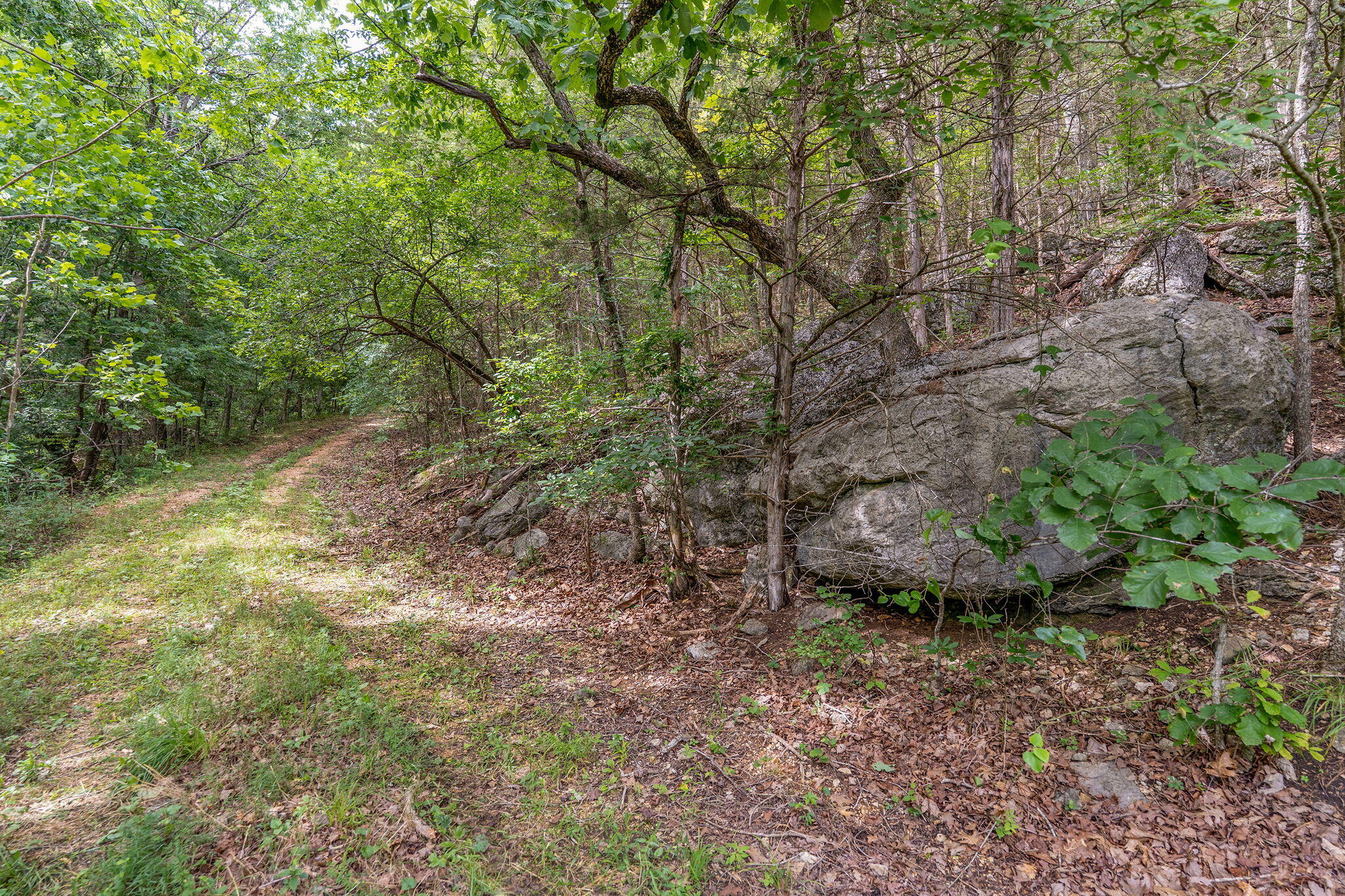 Photo 10 - Land for sale – 000  State Highway 265   Branson, MO