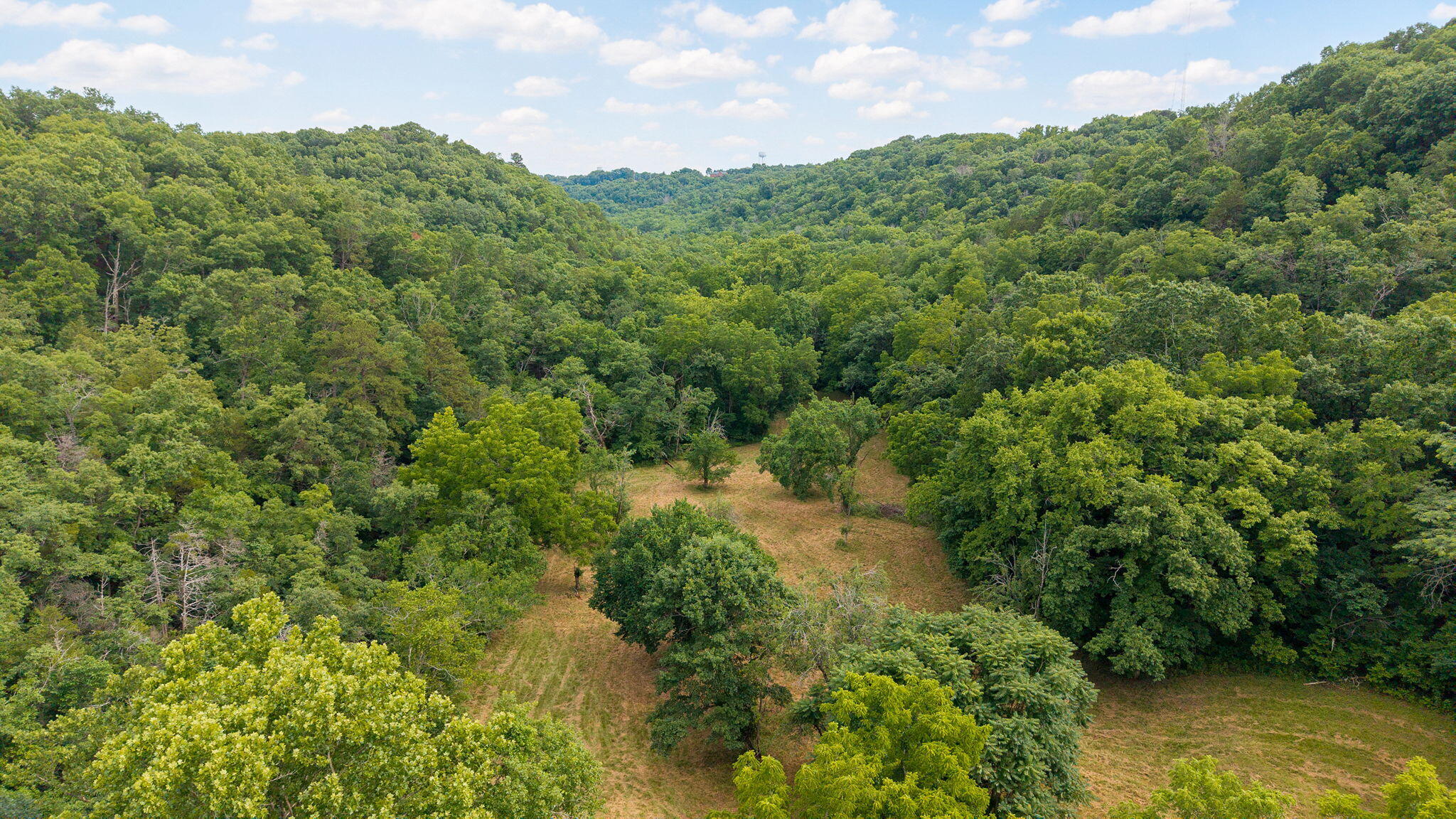 Photo 8 - Land for sale – 000  State Highway 265   Branson, MO