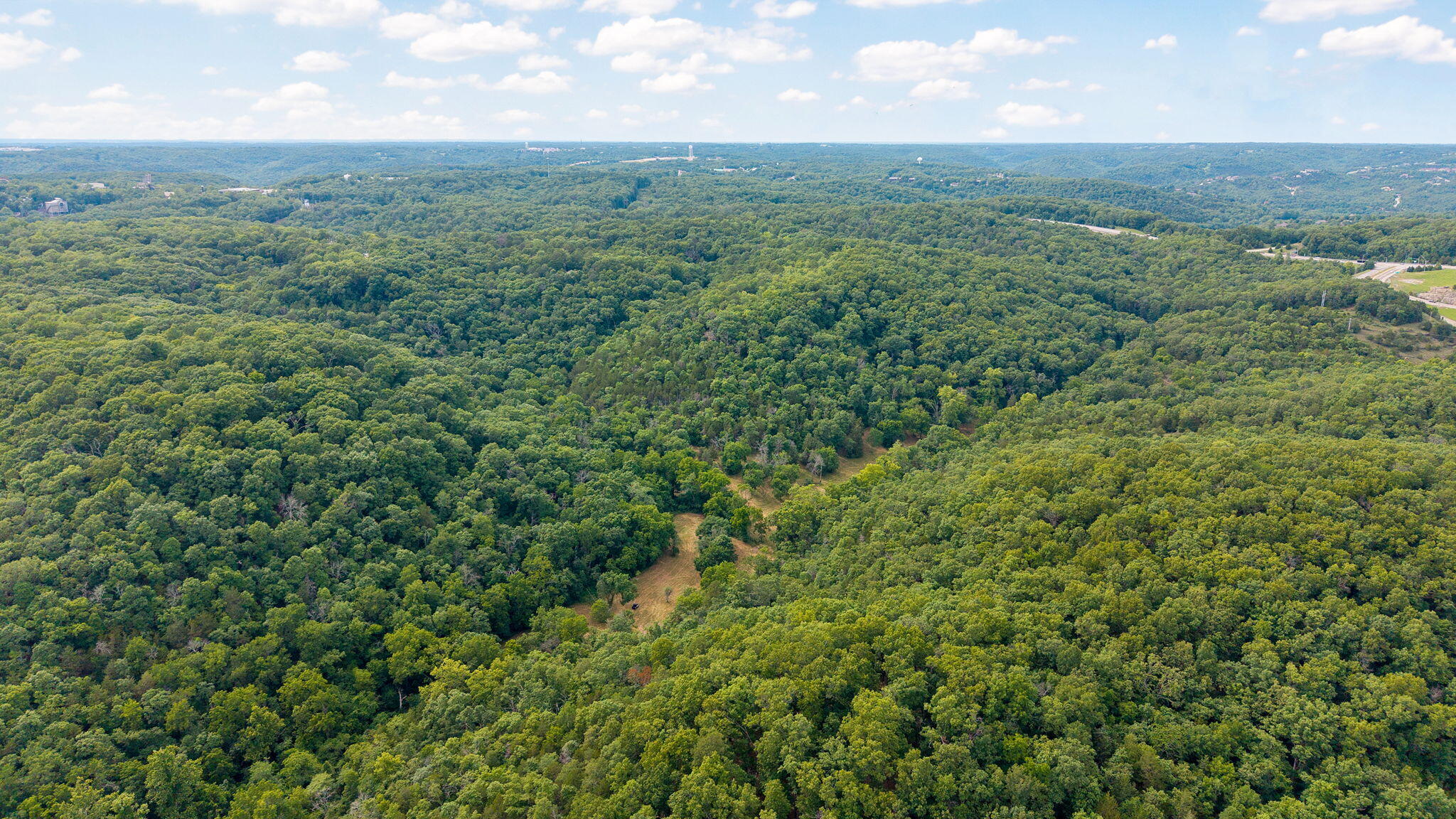 Photo 24 - Land for sale – 000  State Highway 265   Branson, MO