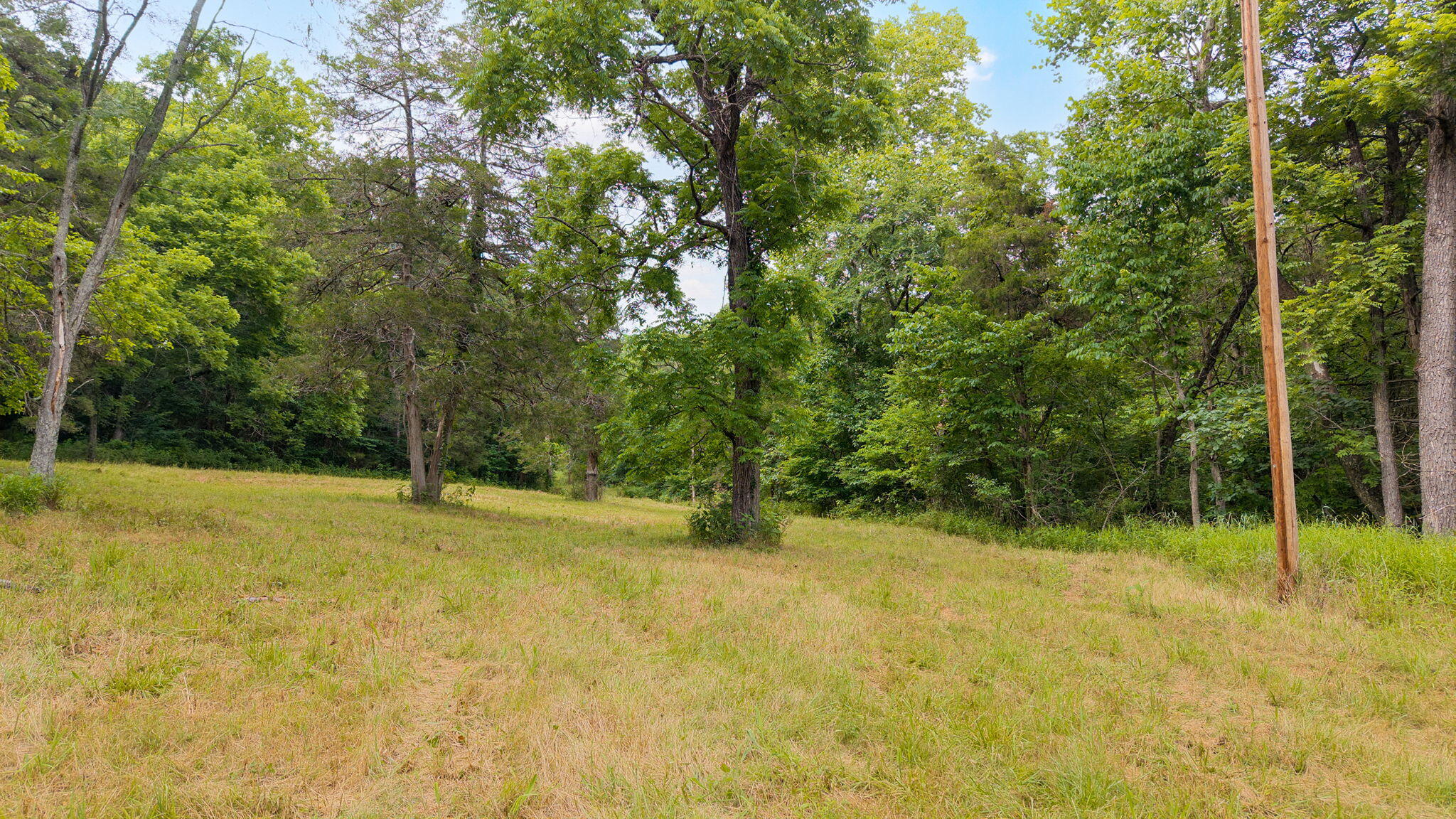 Photo 6 - Land for sale – 000  State Highway 265   Branson, MO