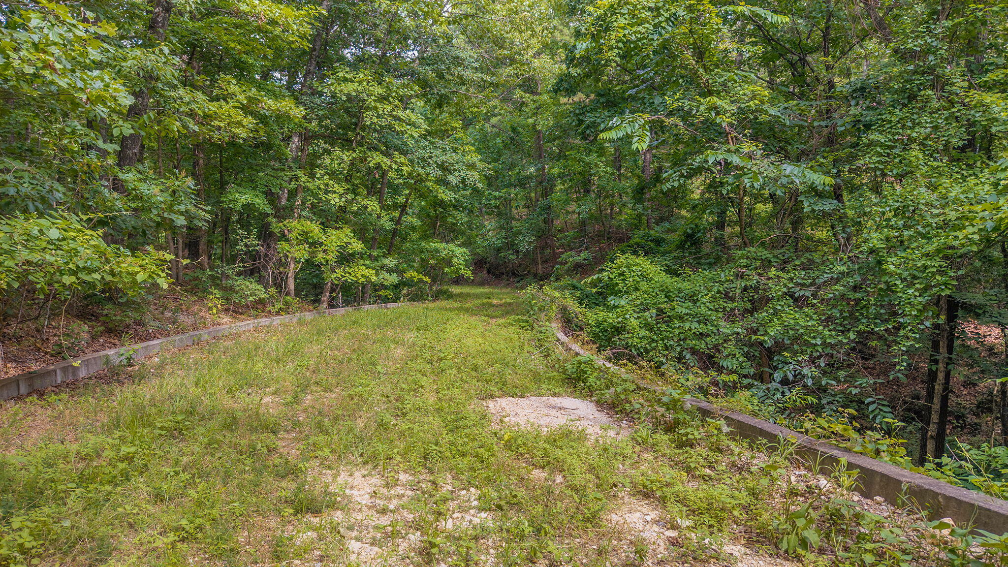 Photo 3 - Land for sale – 000  State Highway 265   Branson, MO