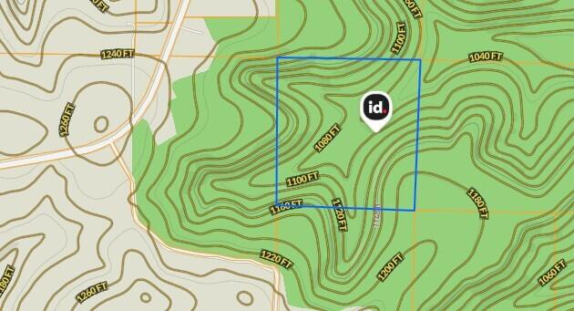 Photo 4 - Land for sale – Tbd  N-325   Ava, MO