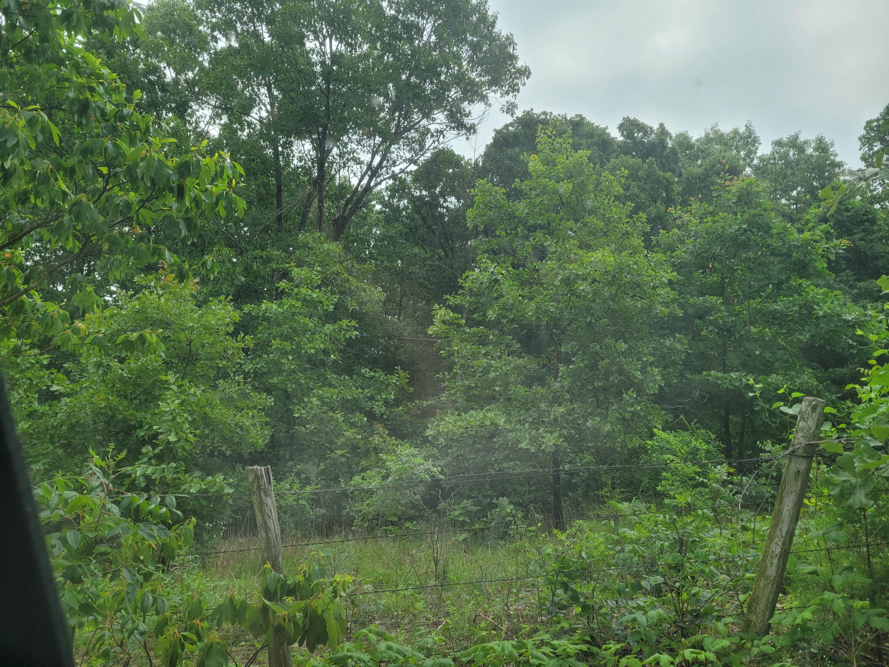 Photo 2 - Land for sale – Tbd  N-325   Ava, MO