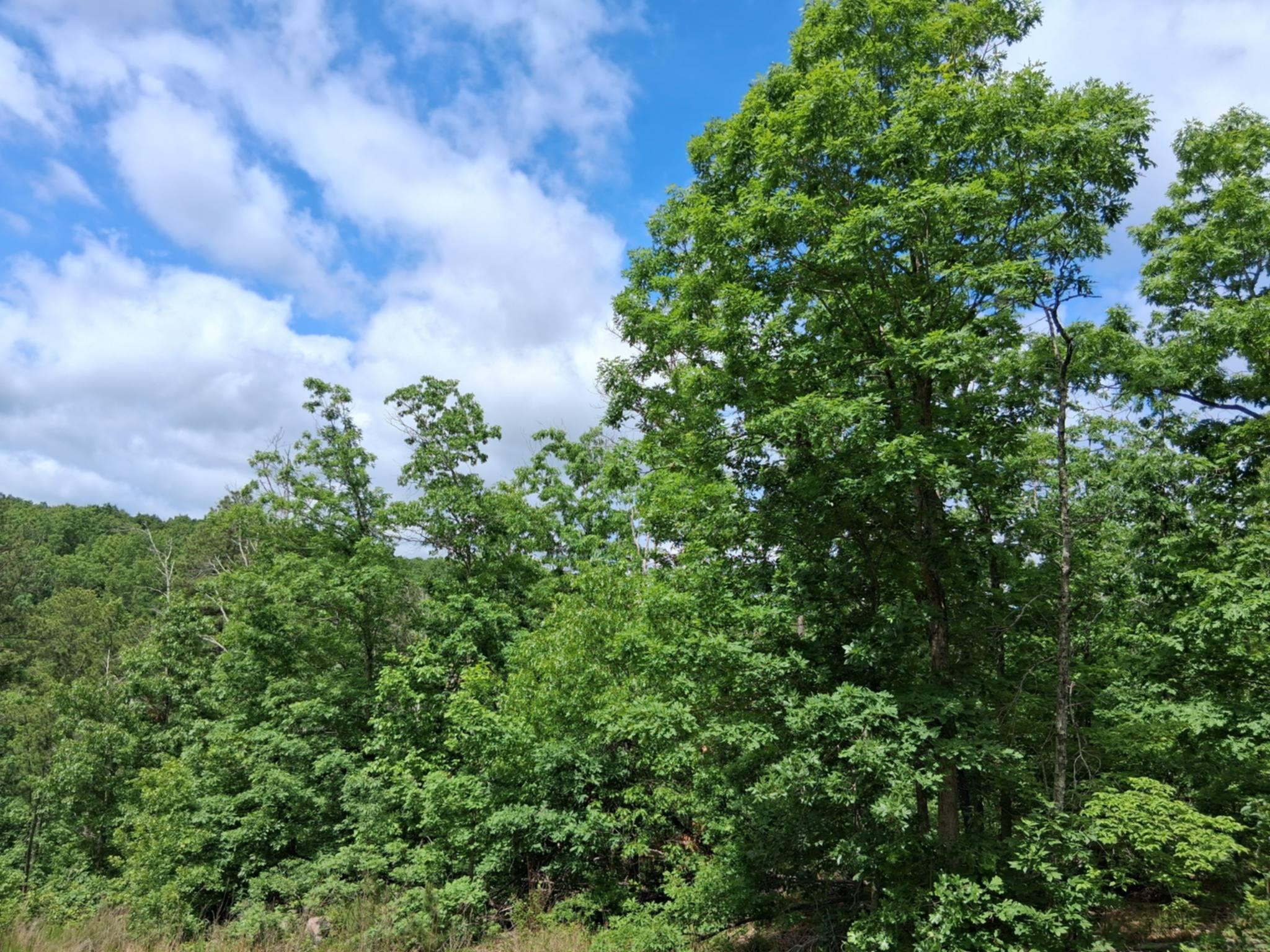 Photo 15 - Land for sale – Tbd  Golden Drive  Raymondville, MO
