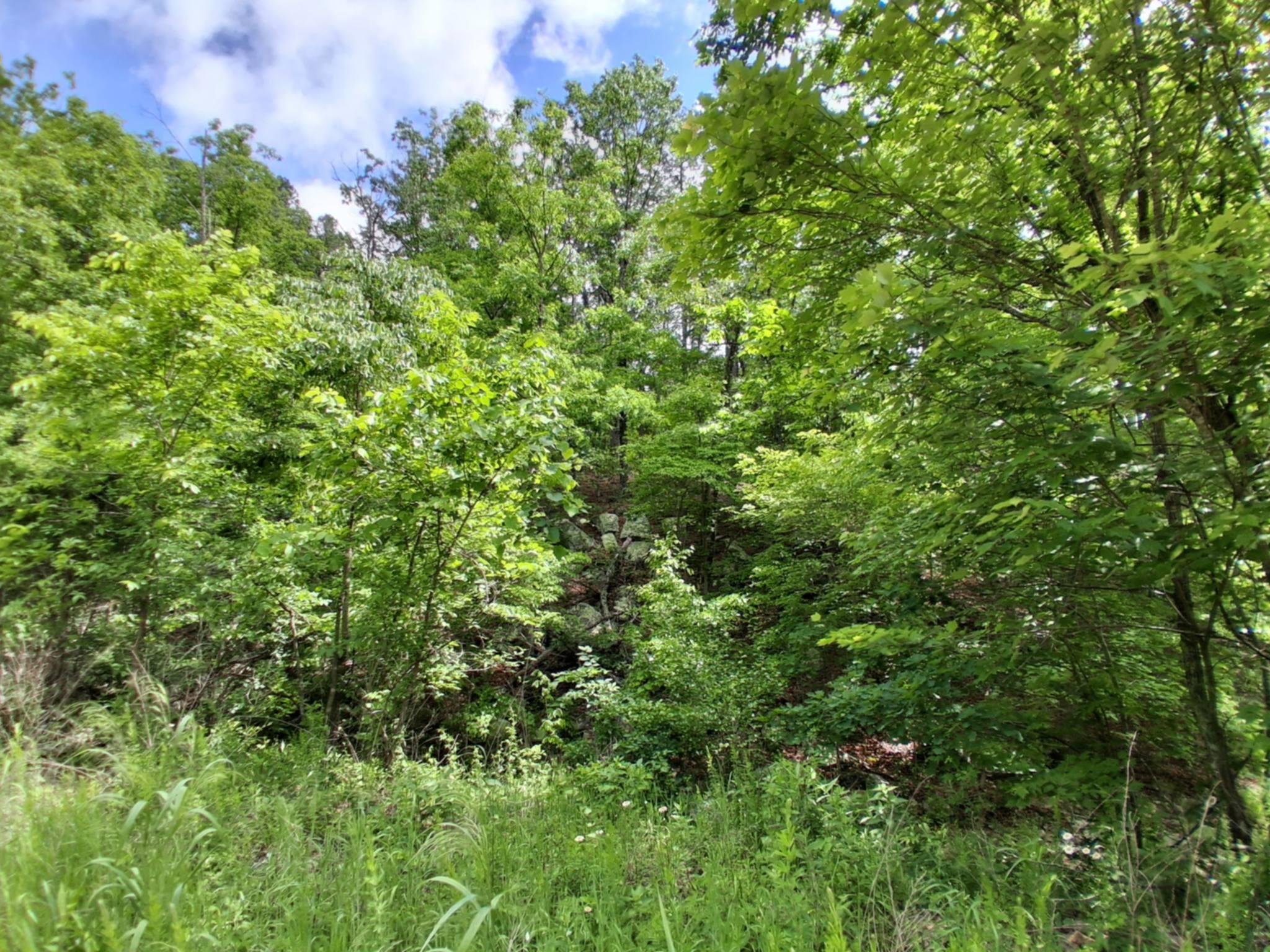 Photo 11 - Land for sale – Tbd  Golden Drive  Raymondville, MO