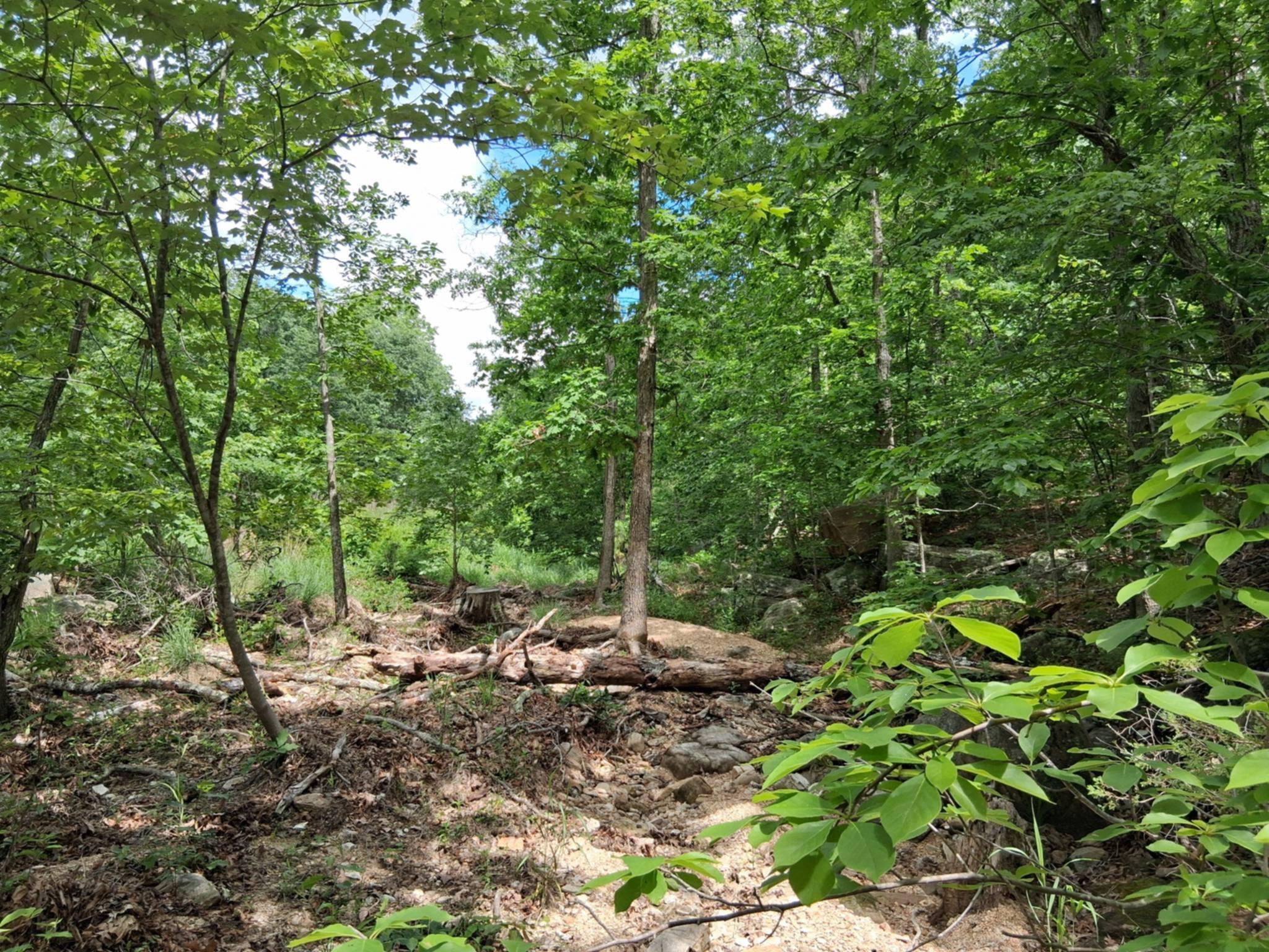 Photo 7 - Land for sale – Tbd  Golden Drive  Raymondville, MO