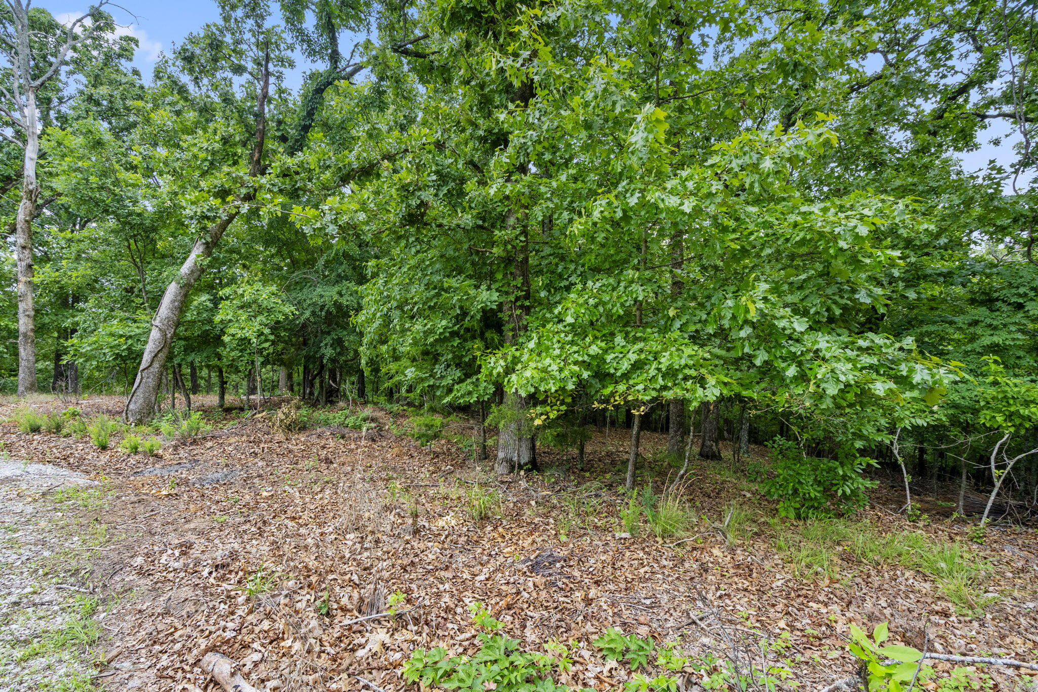 Photo 9 - Land for sale – Lot 5  Whispering Hill Drive  Blue Eye, MO