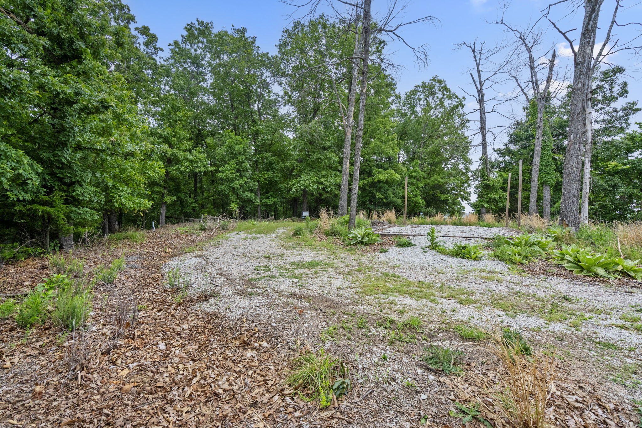 Photo 13 - Land for sale – Lot 5  Whispering Hill Drive  Blue Eye, MO