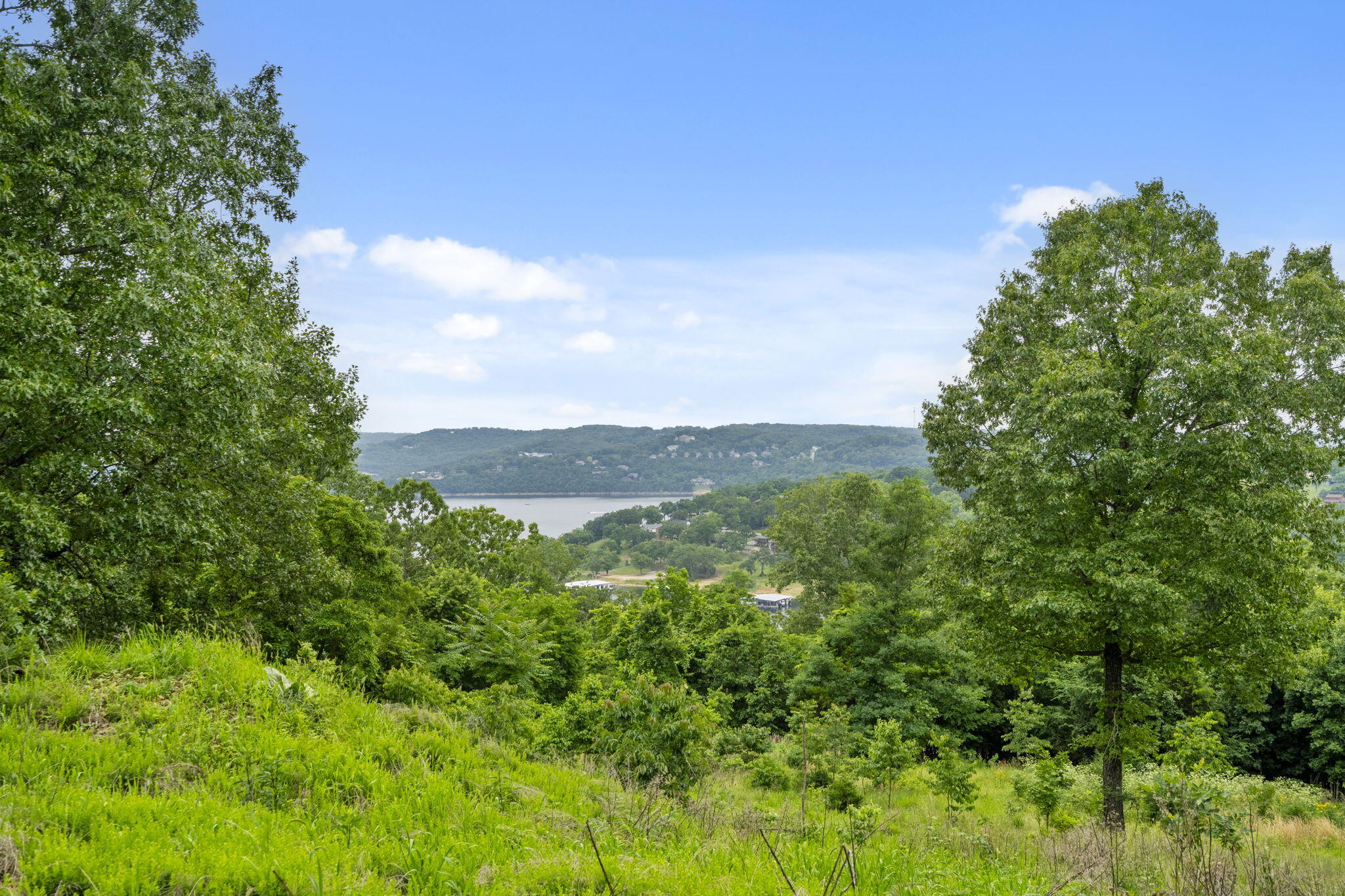 Photo 14 - Land for sale – Lot 5  Whispering Hill Drive  Blue Eye, MO