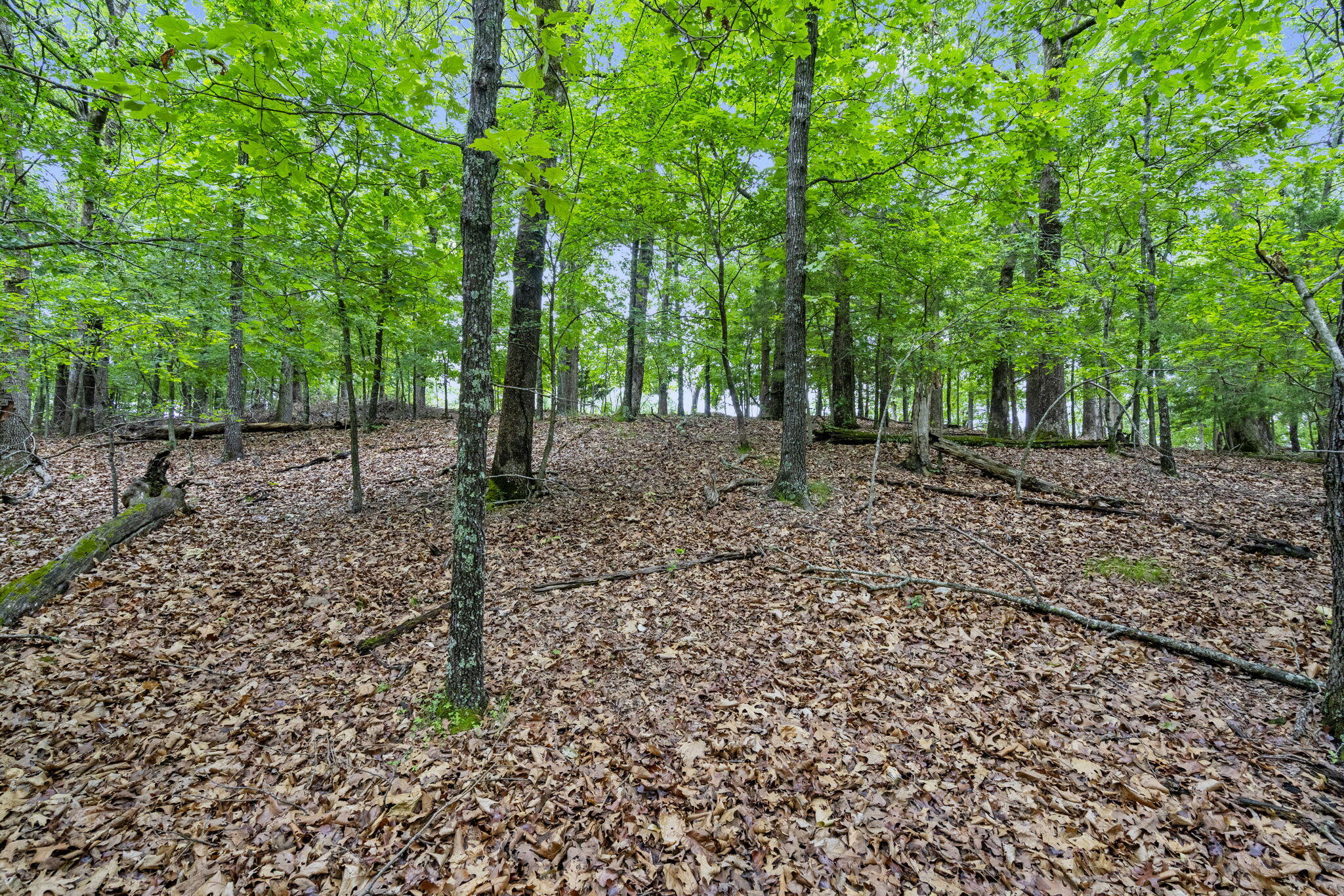 Photo 11 - Land for sale – Lot 5  Whispering Hill Drive  Blue Eye, MO