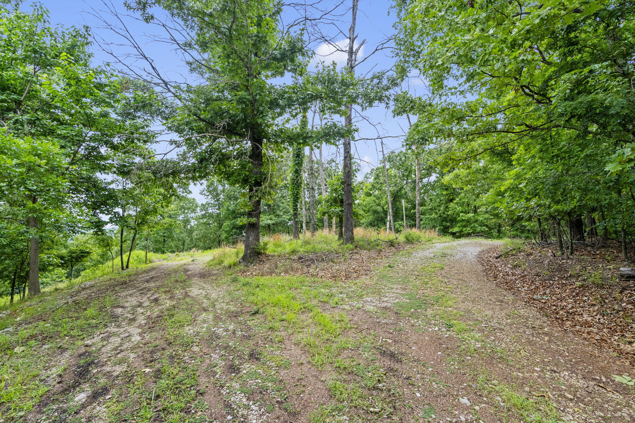 Photo 15 - Land for sale – Lot 5  Whispering Hill Drive  Blue Eye, MO