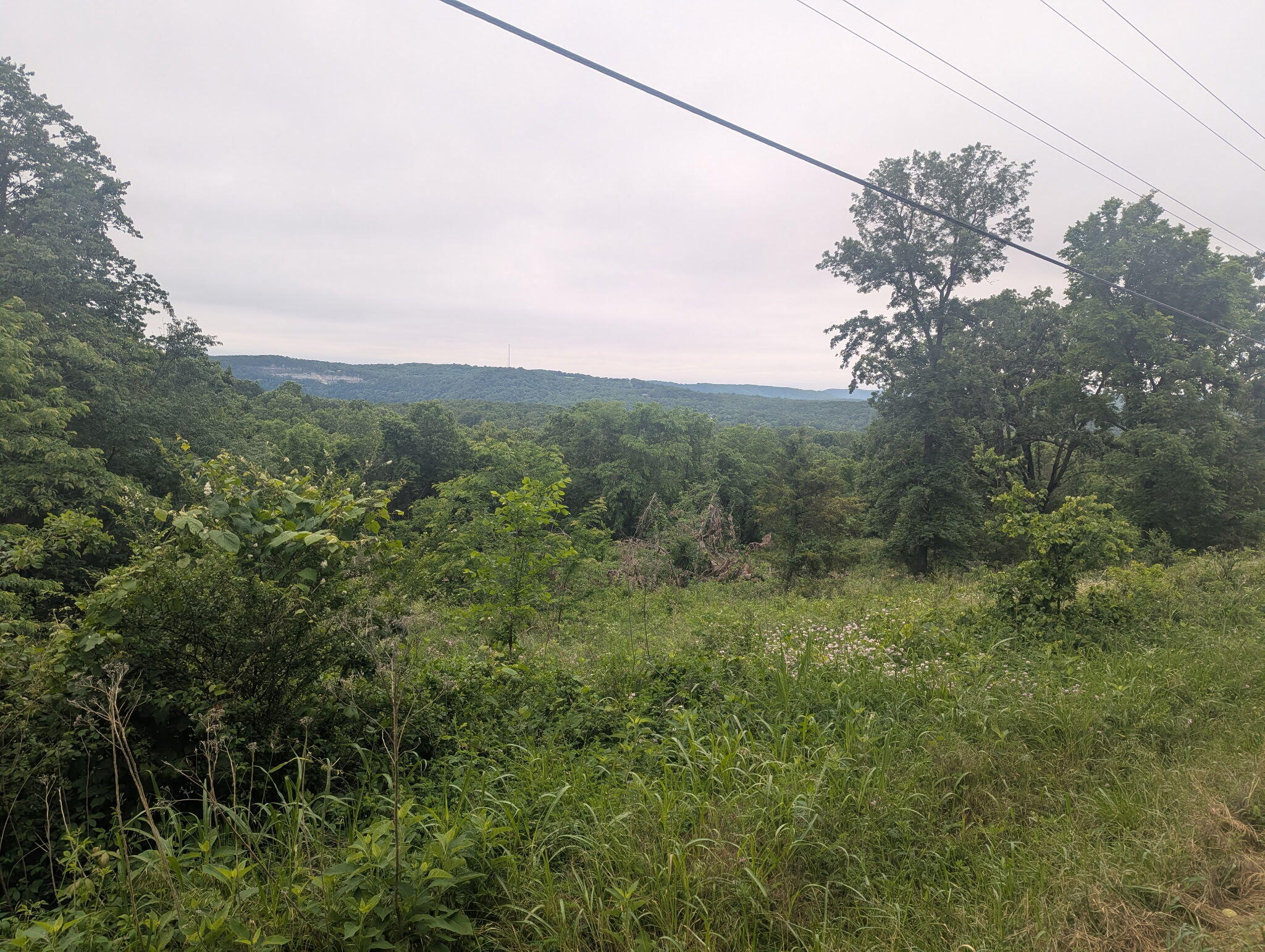 Photo 3 - Land for sale – 000  Semic Lane  Cape Fair, MO