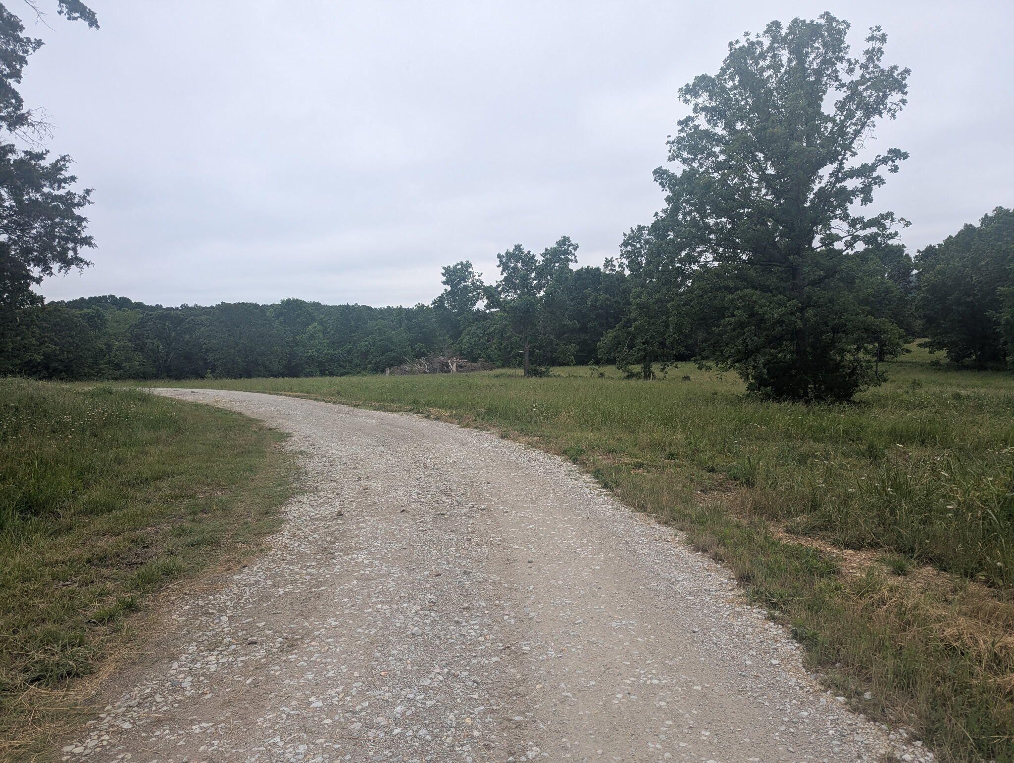 Land for sale – 000  Semic Lane  Cape Fair, MO