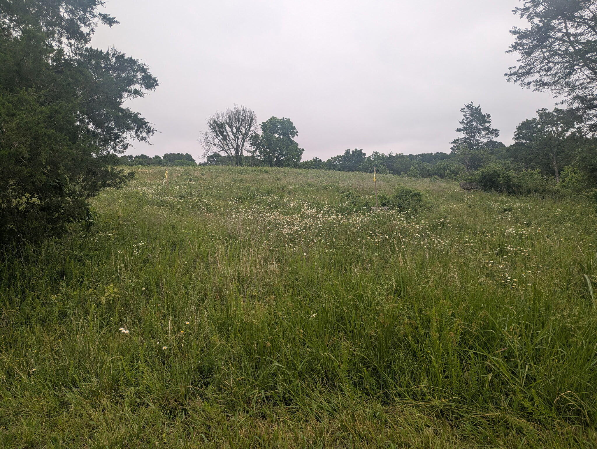 Photo 2 - Land for sale – 000  Semic Lane  Cape Fair, MO