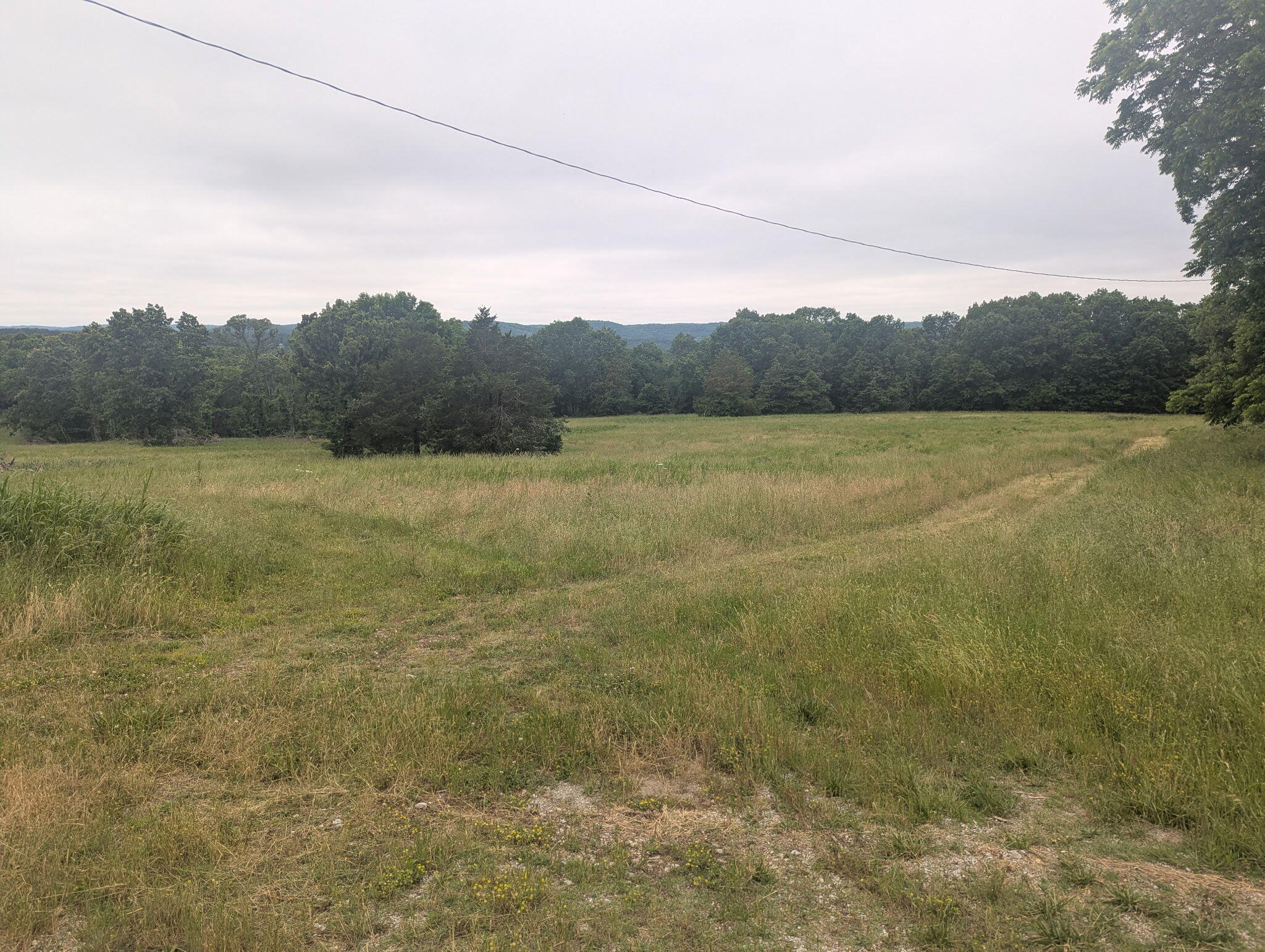 Photo 5 - Land for sale – 000  Semic Lane  Cape Fair, MO