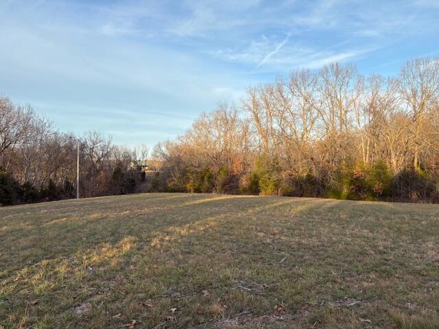 Photo 9 - Land for sale – 001  State Hwy O   Highlandville, MO