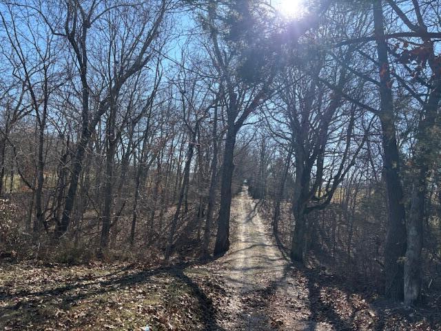 Photo 13 - Land for sale – 001  State Hwy O   Highlandville, MO