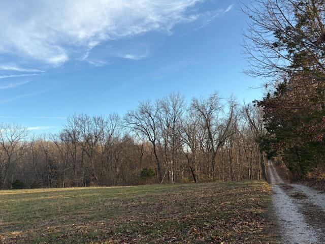 Photo 6 - Land for sale – 001  State Hwy O   Highlandville, MO