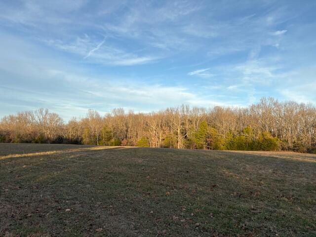 Photo 7 - Land for sale – 001  State Hwy O   Highlandville, MO