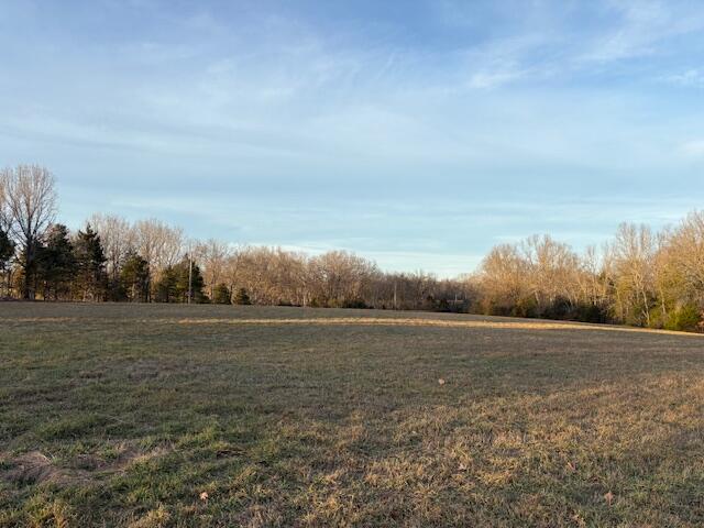 Photo 8 - Land for sale – 001  State Hwy O   Highlandville, MO