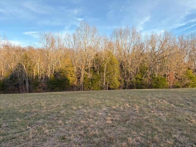 Photo 10 - Land for sale – 001  State Hwy O   Highlandville, MO