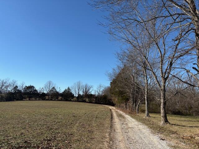 Photo 12 - Land for sale – 001  State Hwy O   Highlandville, MO
