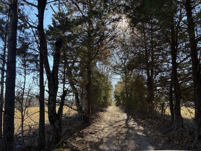 Photo 11 - Land for sale – 001  State Hwy O   Highlandville, MO