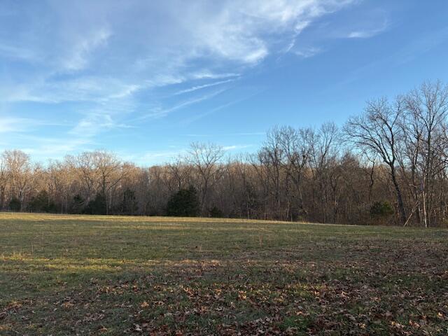 Photo 4 - Land for sale – 001  State Hwy O   Highlandville, MO