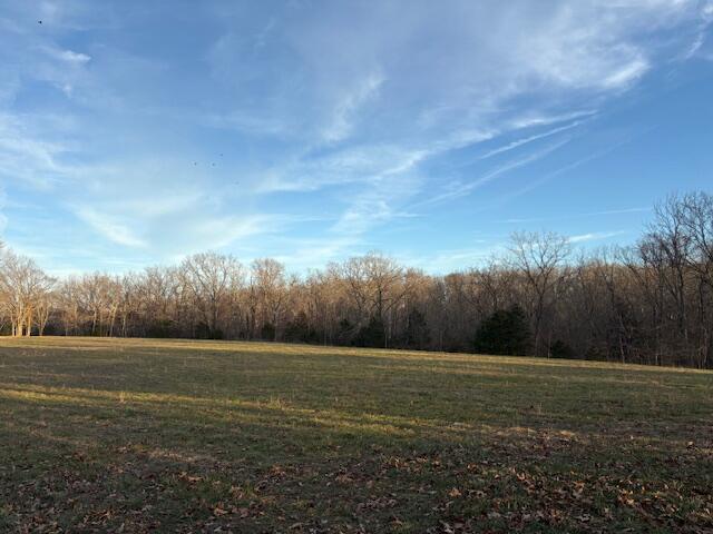 Photo 5 - Land for sale – 001  State Hwy O   Highlandville, MO