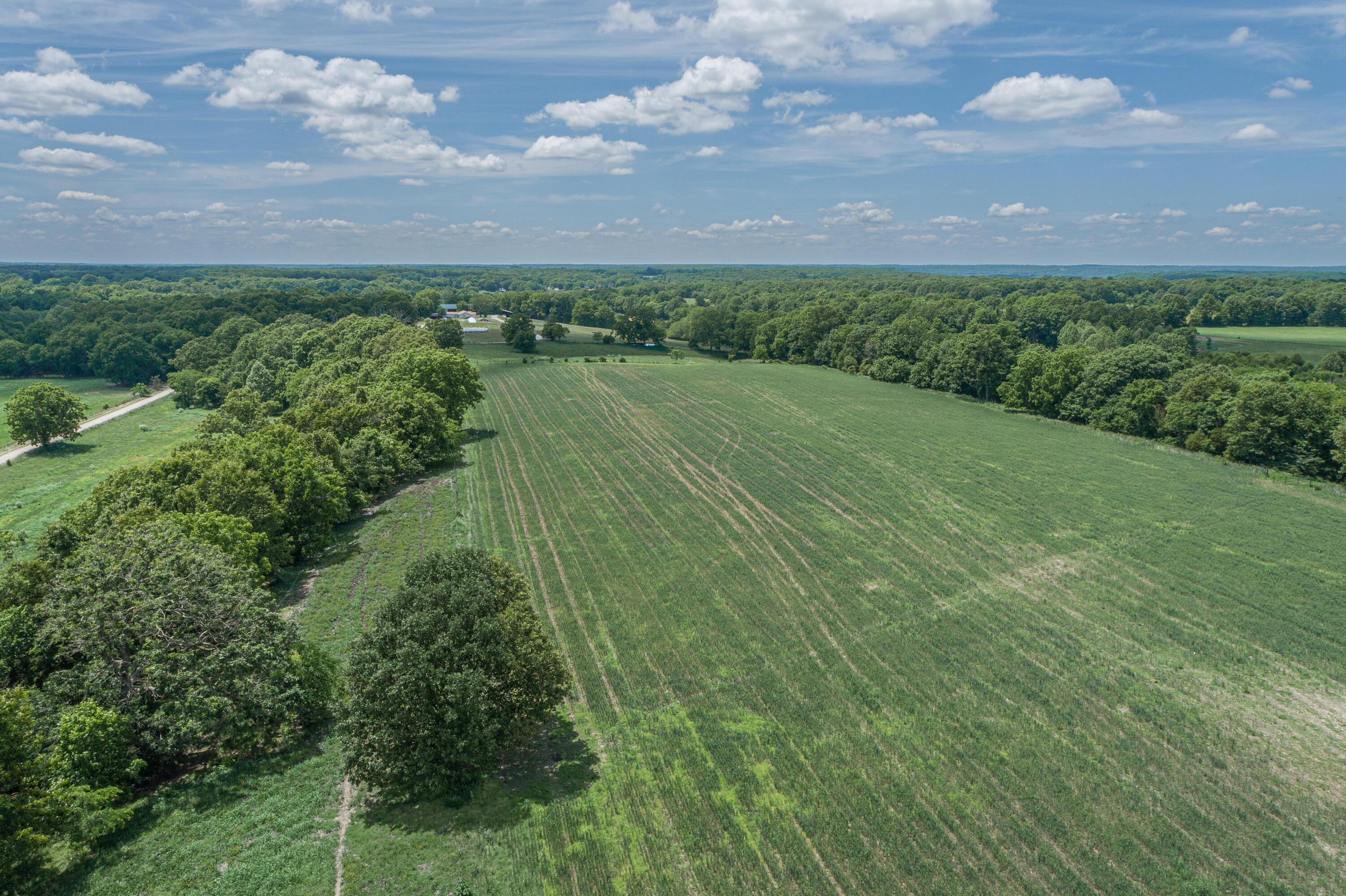 Photo 8 - Farm for sale – 2119  Tall Grass Road  Fordland, MO