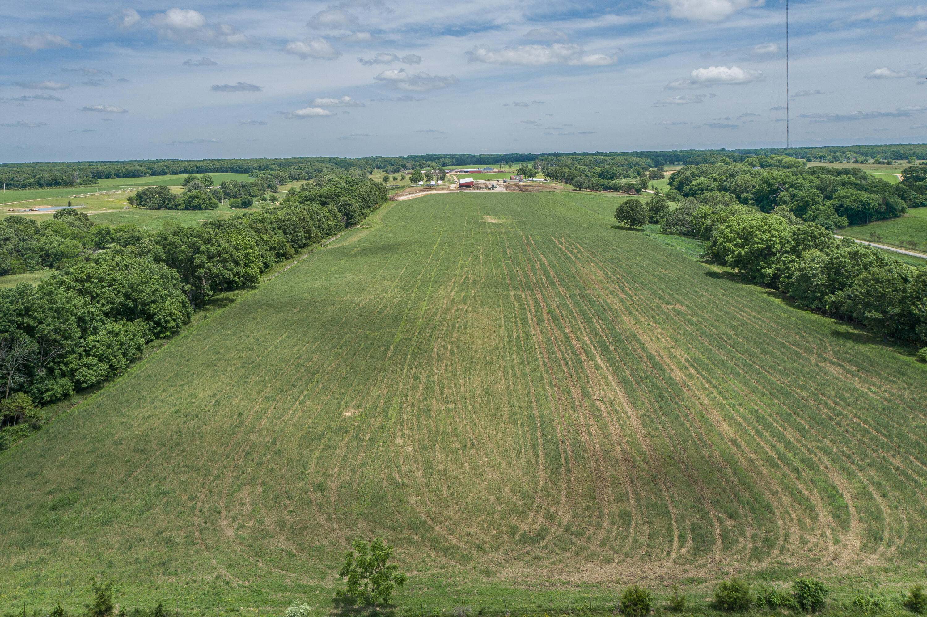 Photo 5 - Farm for sale – 2119  Tall Grass Road  Fordland, MO