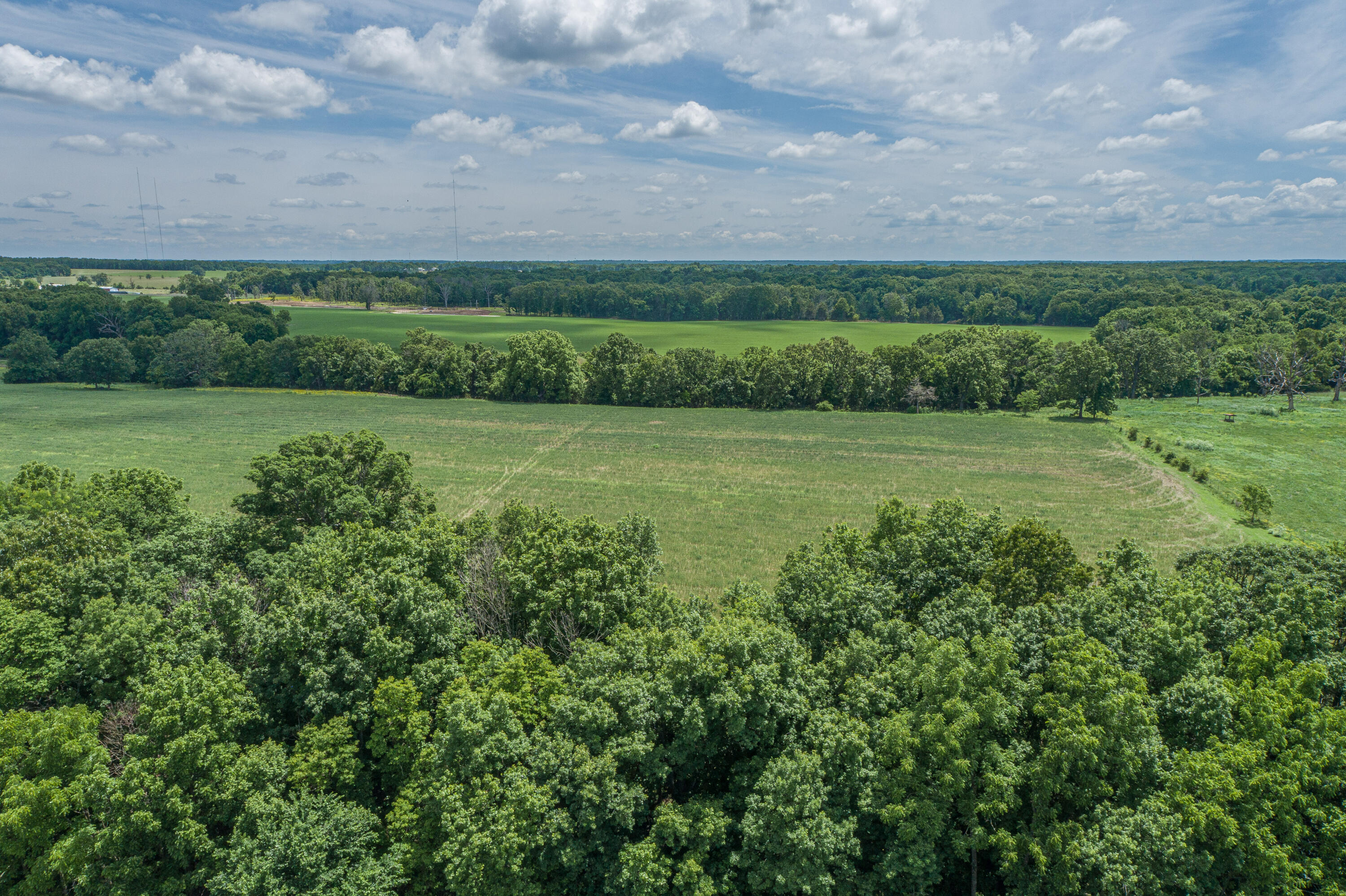 Photo 7 - Farm for sale – 2119  Tall Grass Road  Fordland, MO