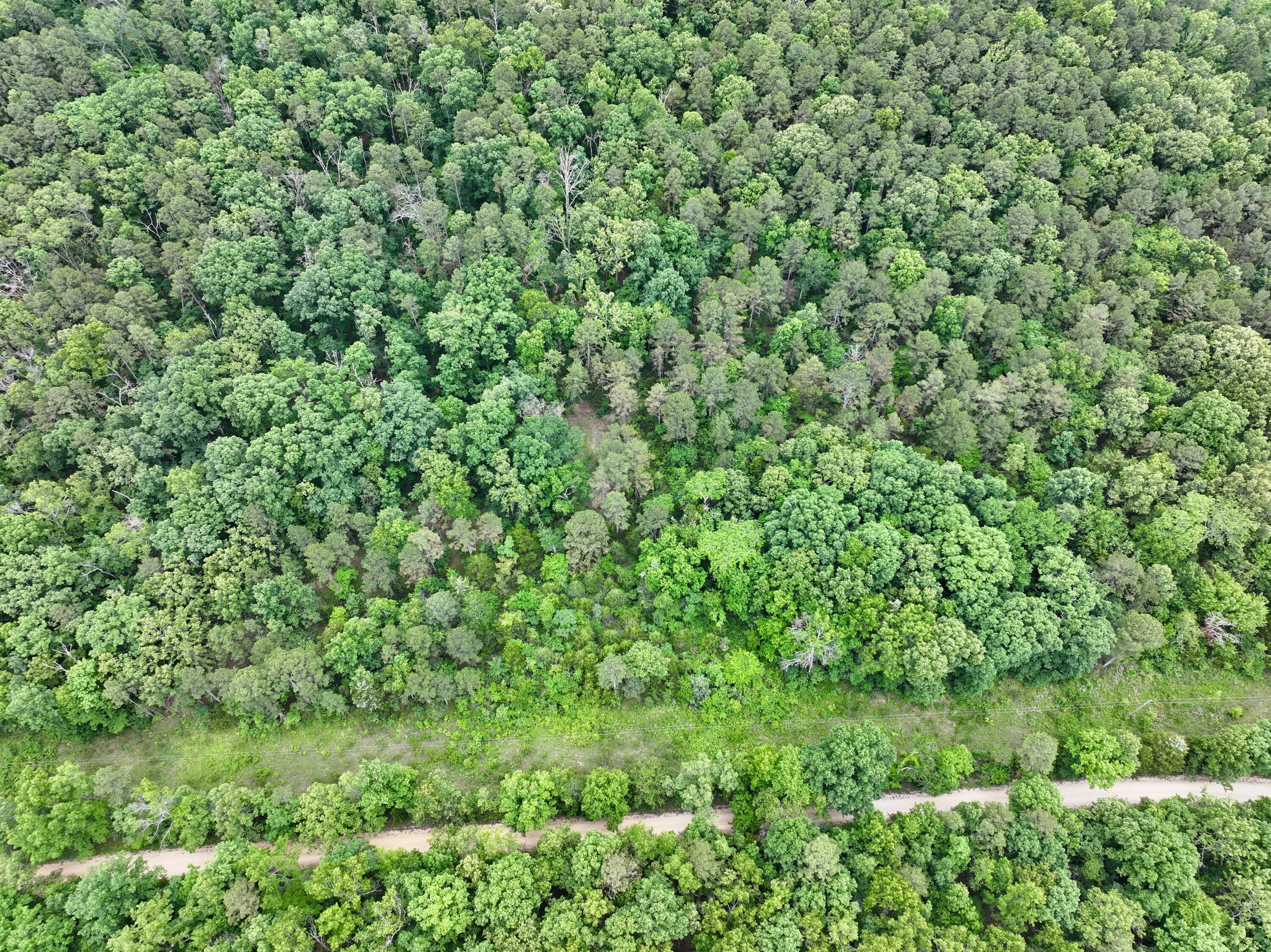 Photo 10 - Land for sale – 000  Carter 242   Grandin, MO