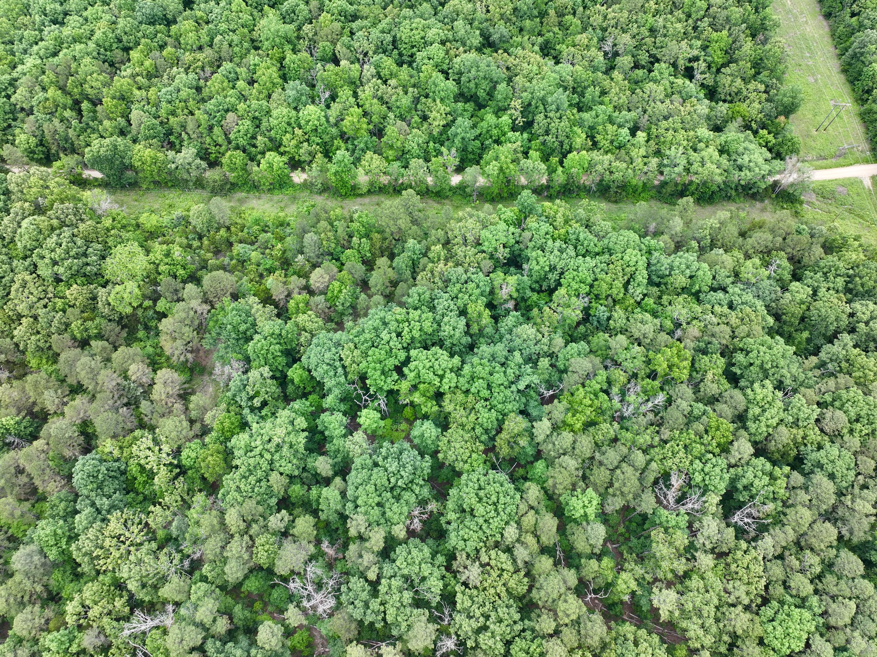 Photo 23 - Land for sale – 000  Carter 242   Grandin, MO