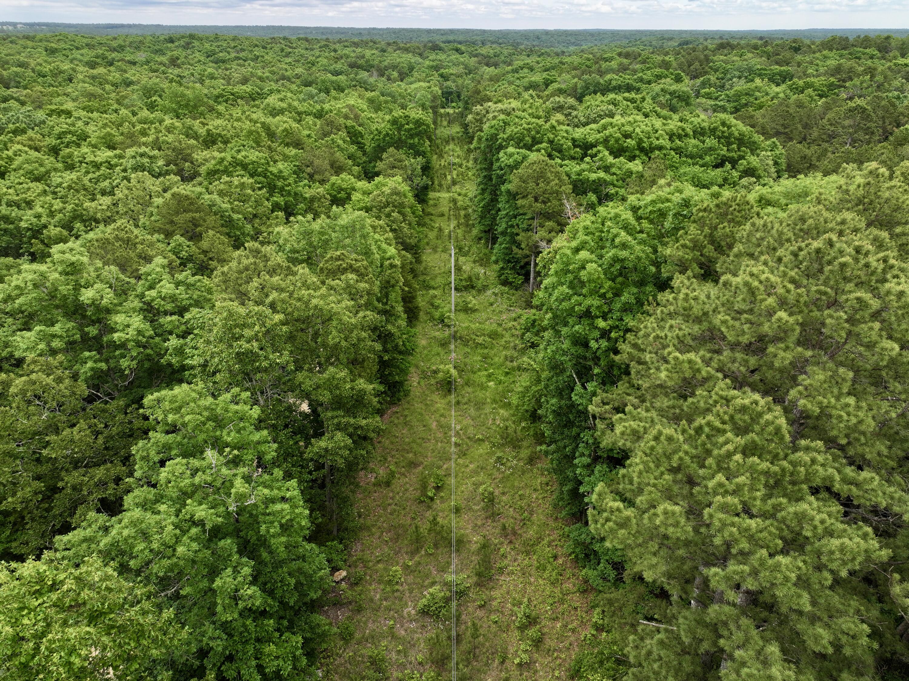 Photo 2 - Land for sale – 000  Carter 242   Grandin, MO