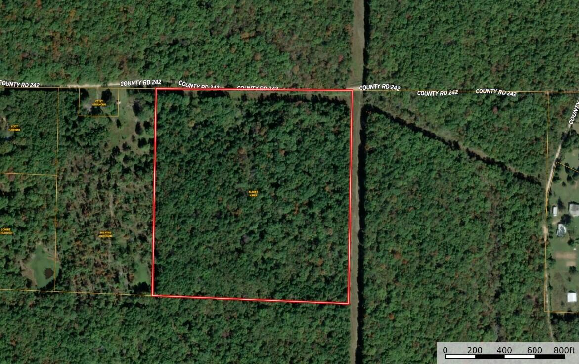 Photo 8 - Land for sale – 000  Carter 242   Grandin, MO