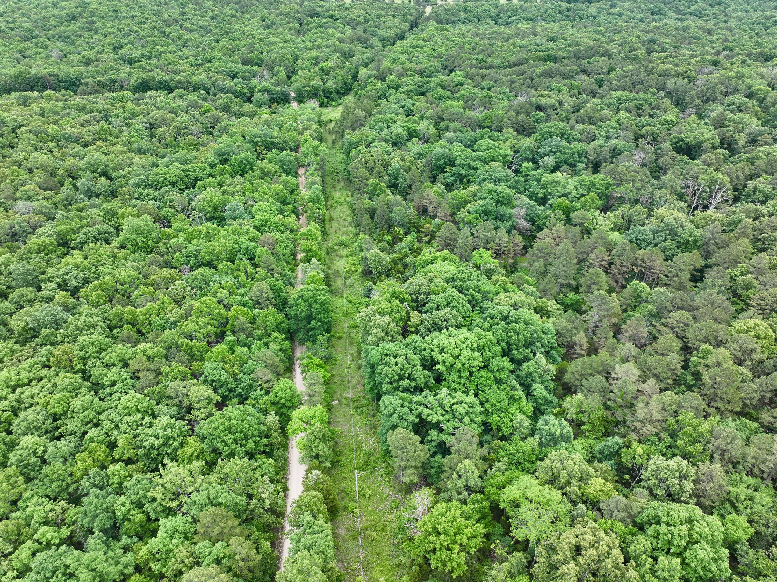 Photo 9 - Land for sale – 000  Carter 242   Grandin, MO