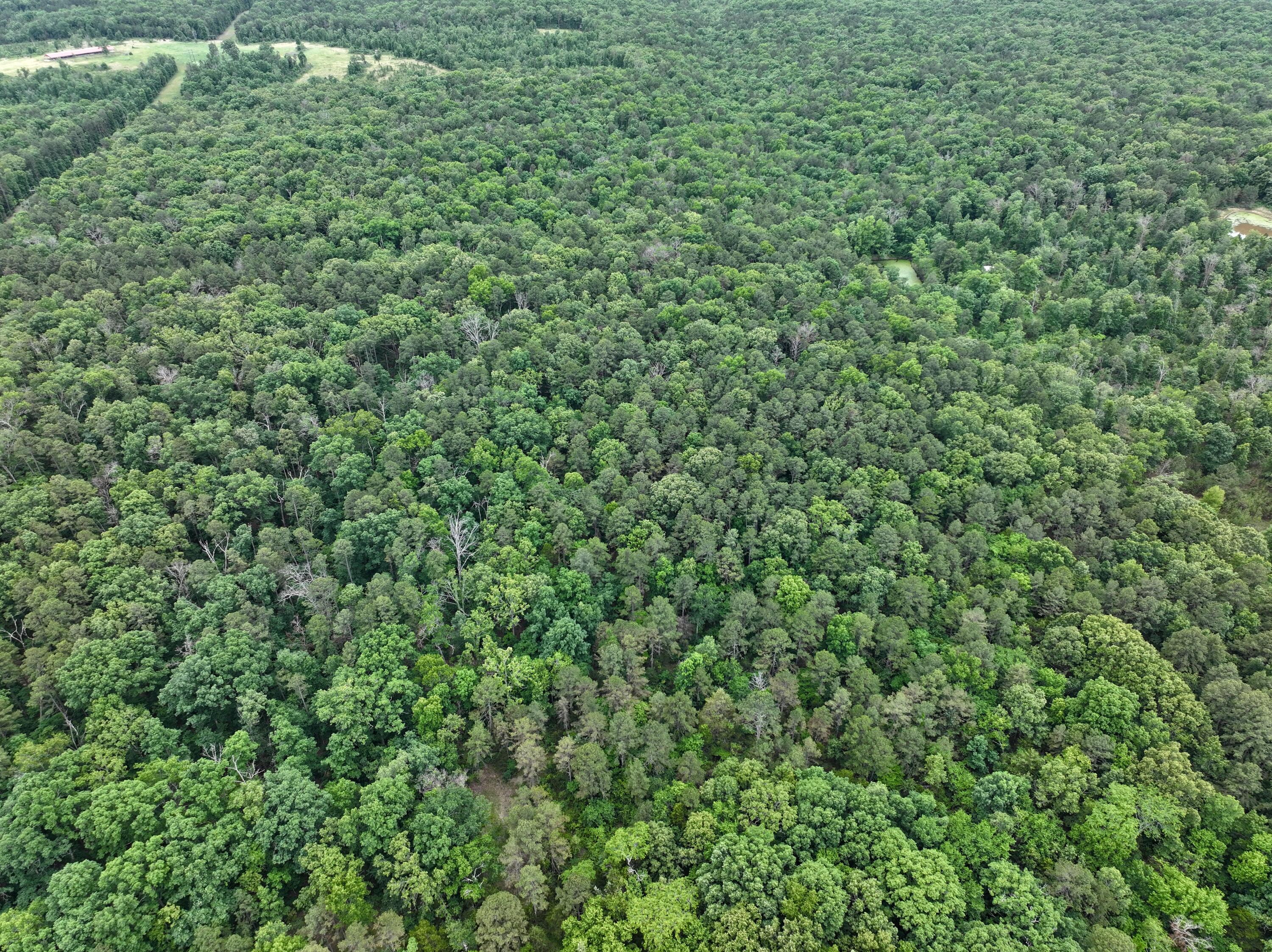 Photo 11 - Land for sale – 000  Carter 242   Grandin, MO