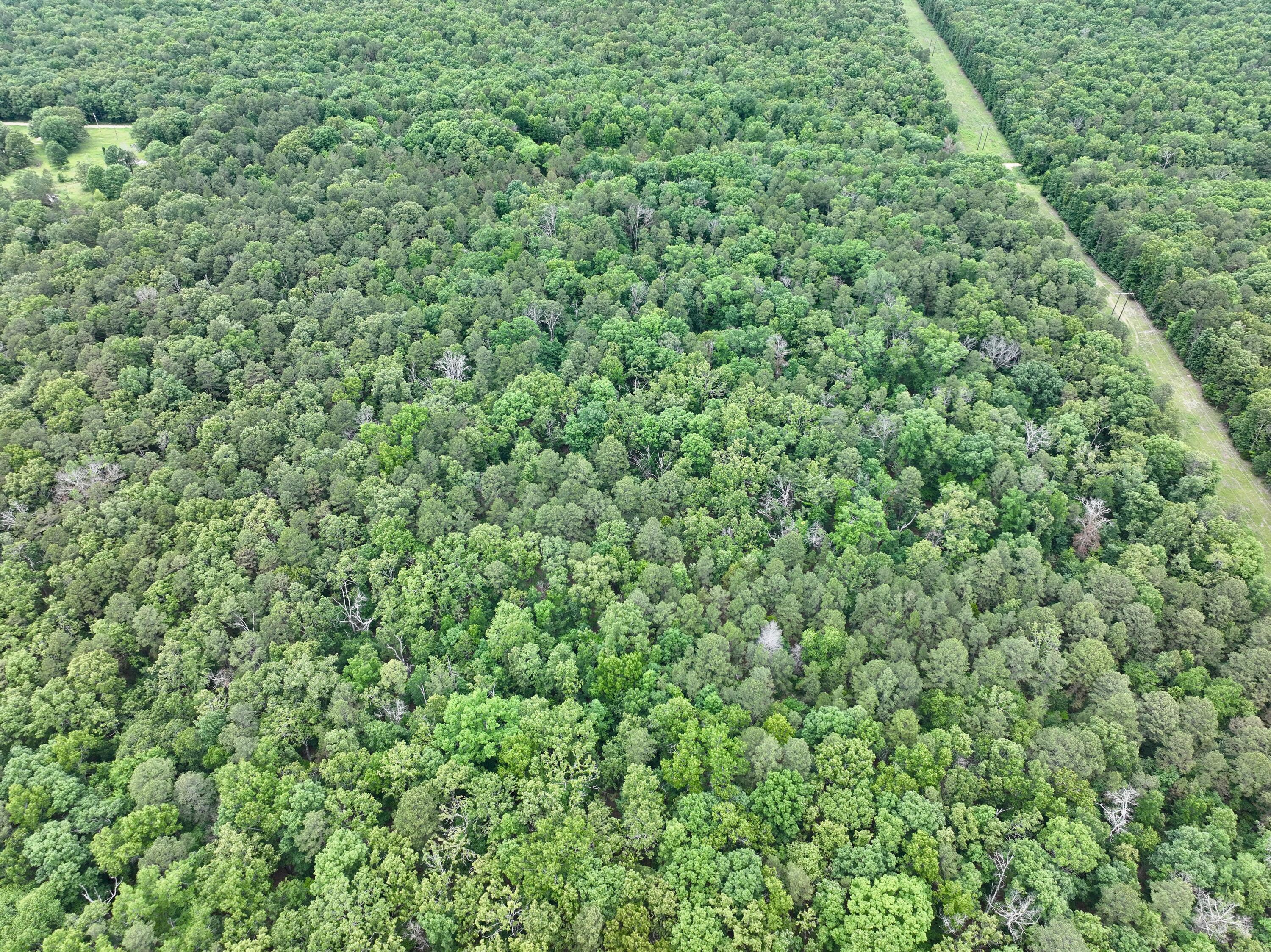 Photo 22 - Land for sale – 000  Carter 242   Grandin, MO