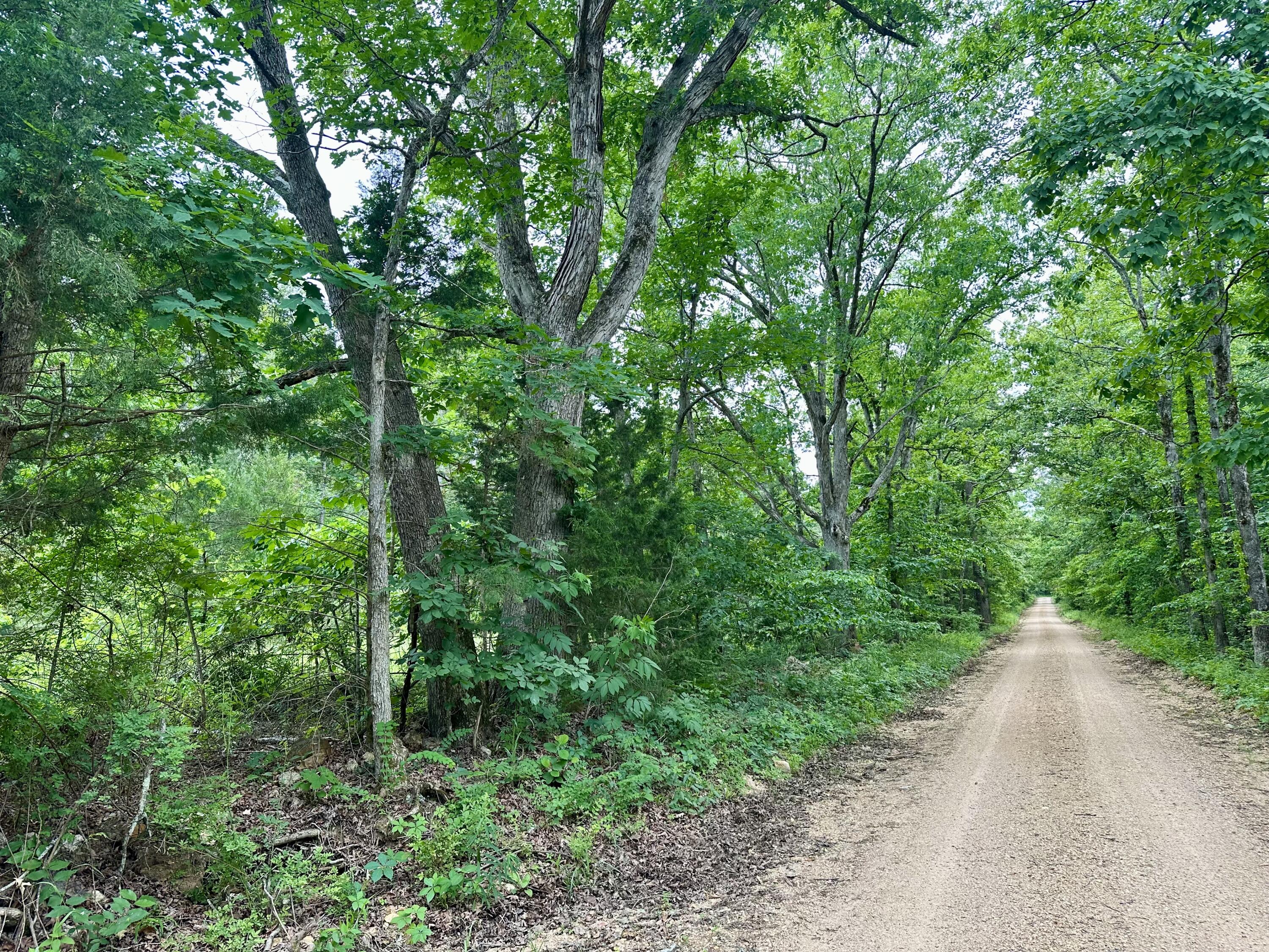 Land for sale – 000  Carter 242   Grandin, MO