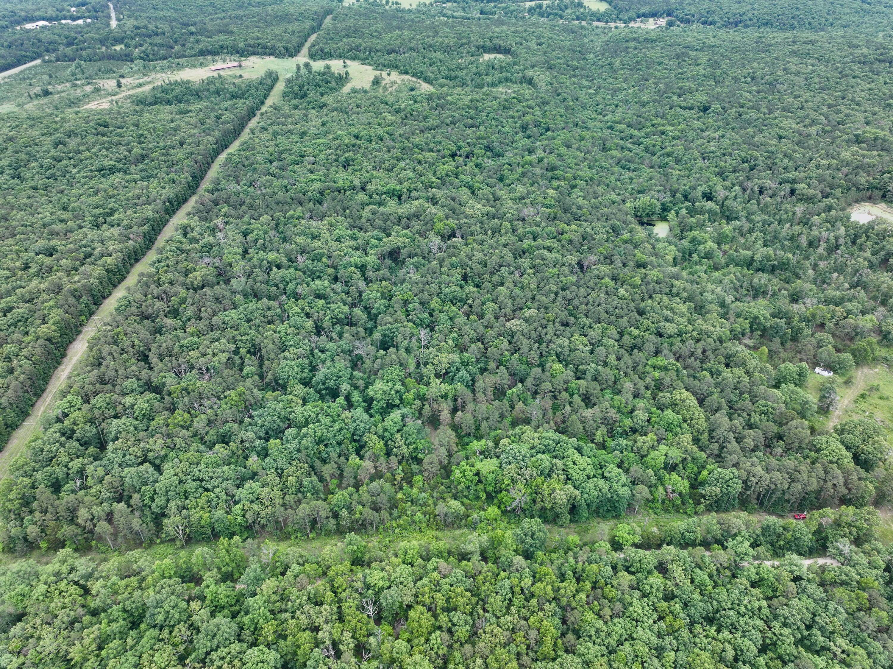 Photo 12 - Land for sale – 000  Carter 242   Grandin, MO