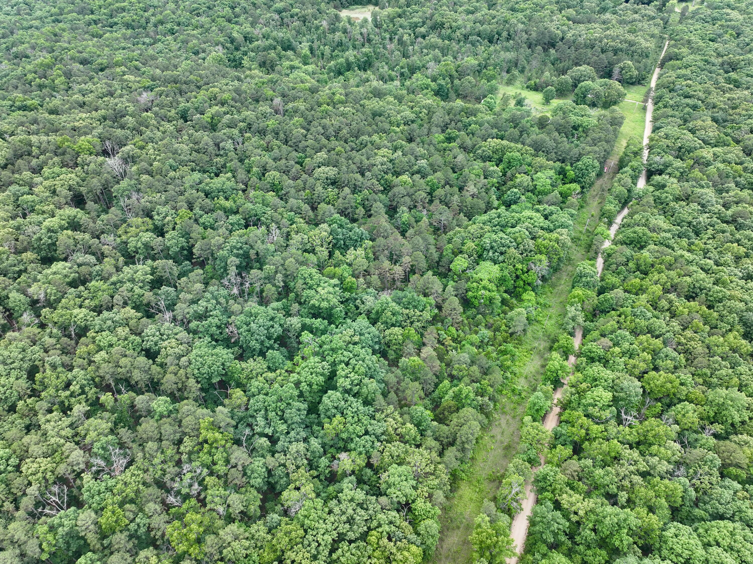 Photo 24 - Land for sale – 000  Carter 242   Grandin, MO